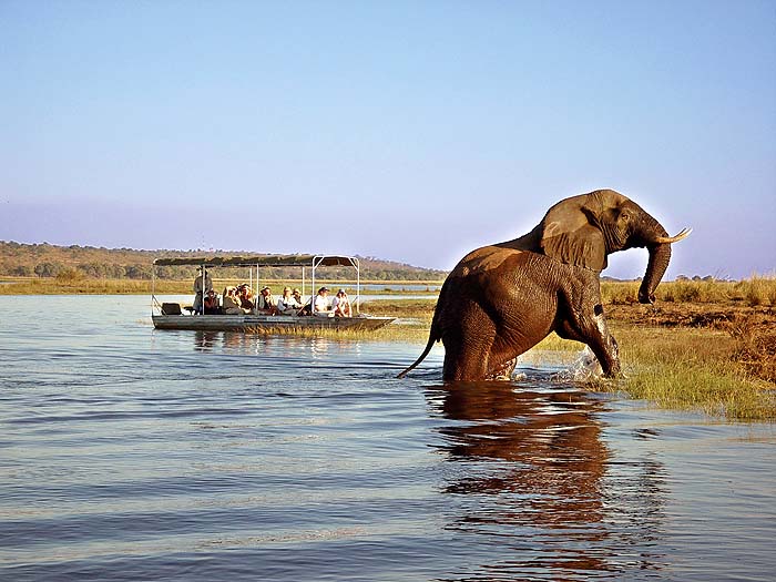 Tongabezi - Bild 6