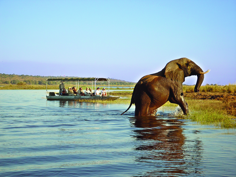 Chobe Safari Lodge - Bild 3