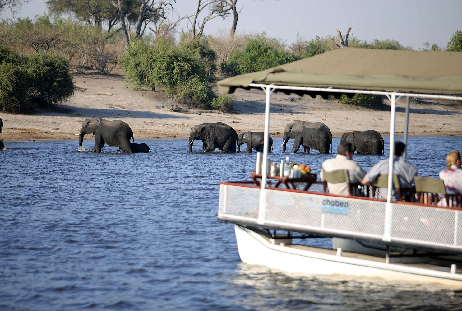 Chobe Under Canvas
