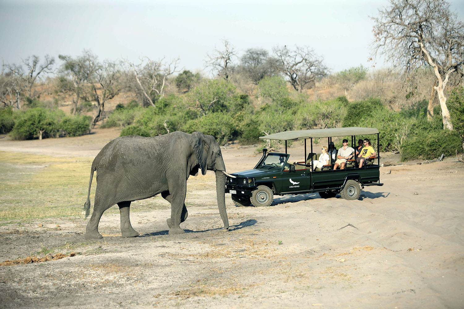 Chobe Under Canvas - Bild 2