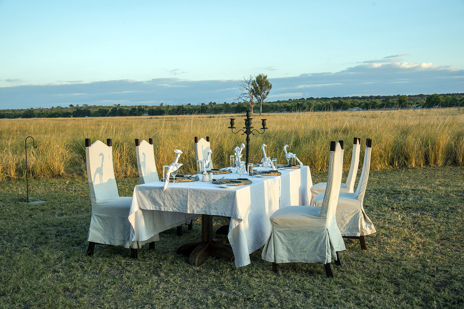 Chobe Savanna Lodge - Bild 5