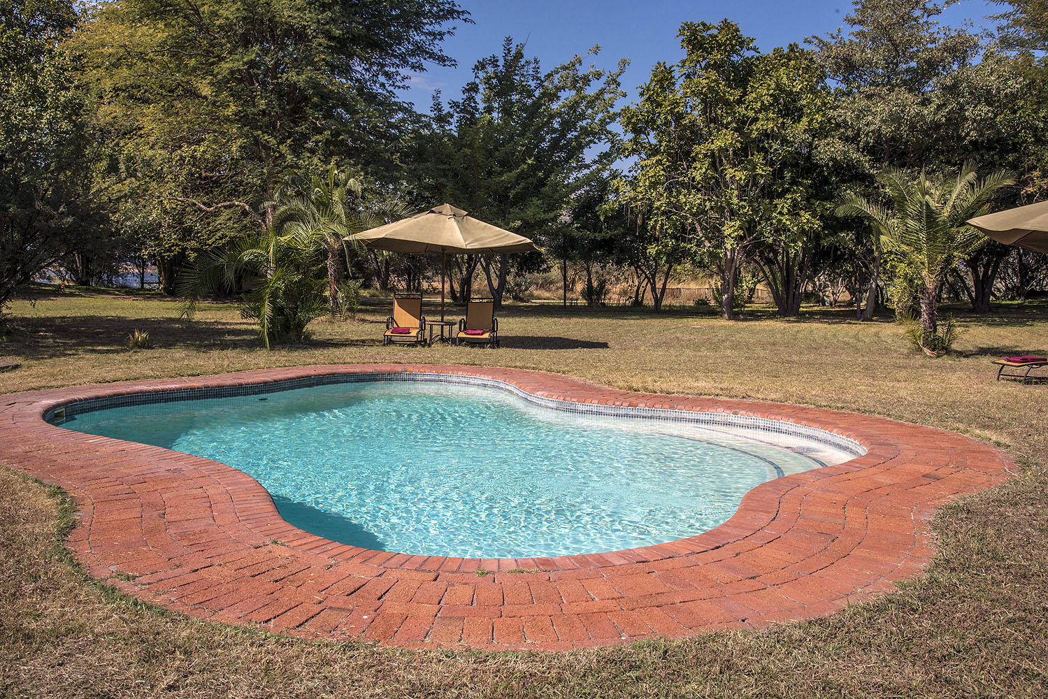 Chobe Savanna Lodge - Bild 4