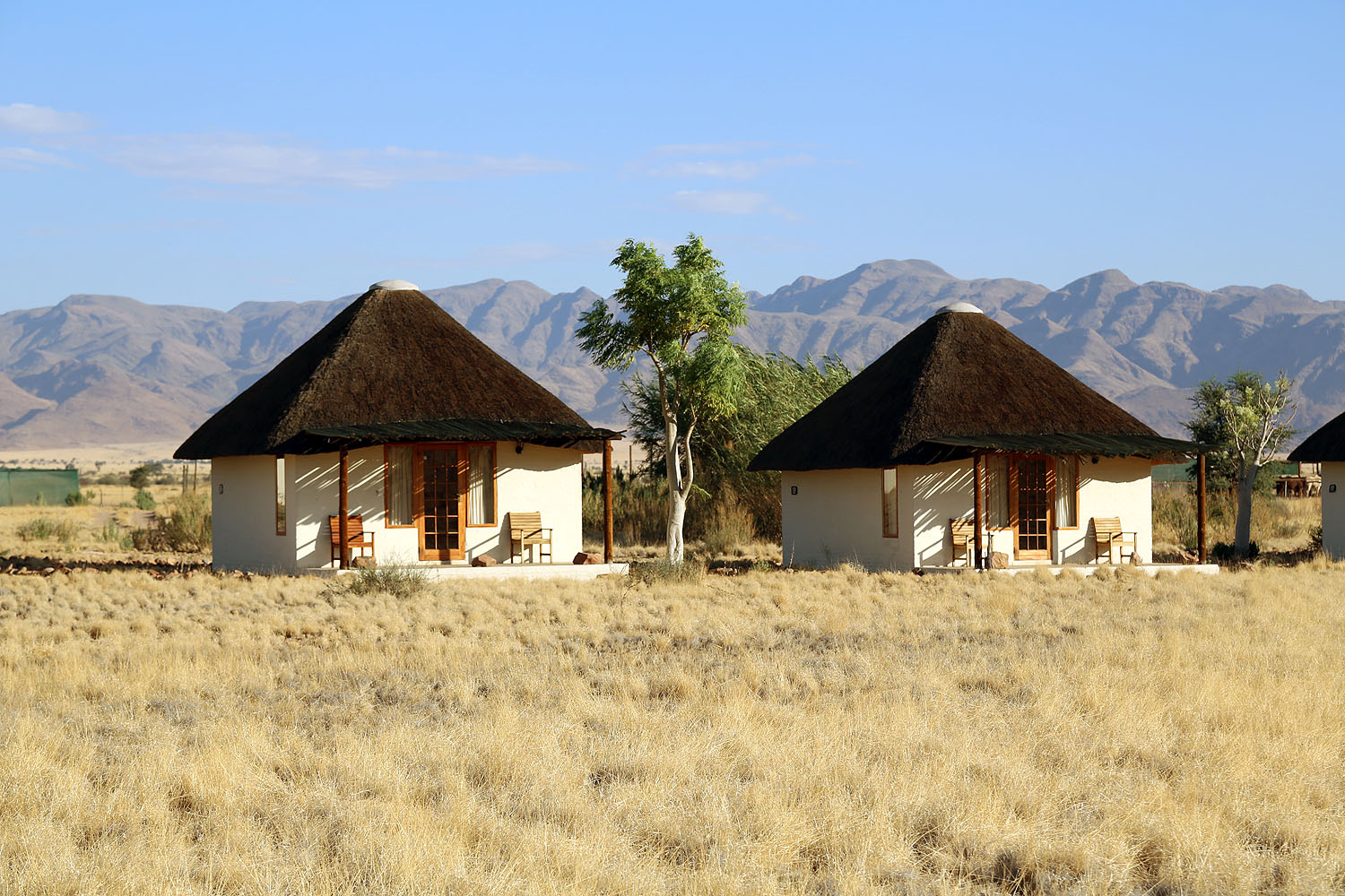 Desert Homestead - Bild 4
