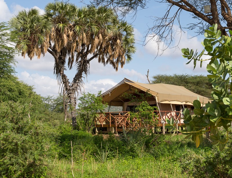 Elephant Bedroom Camp - Bild 2