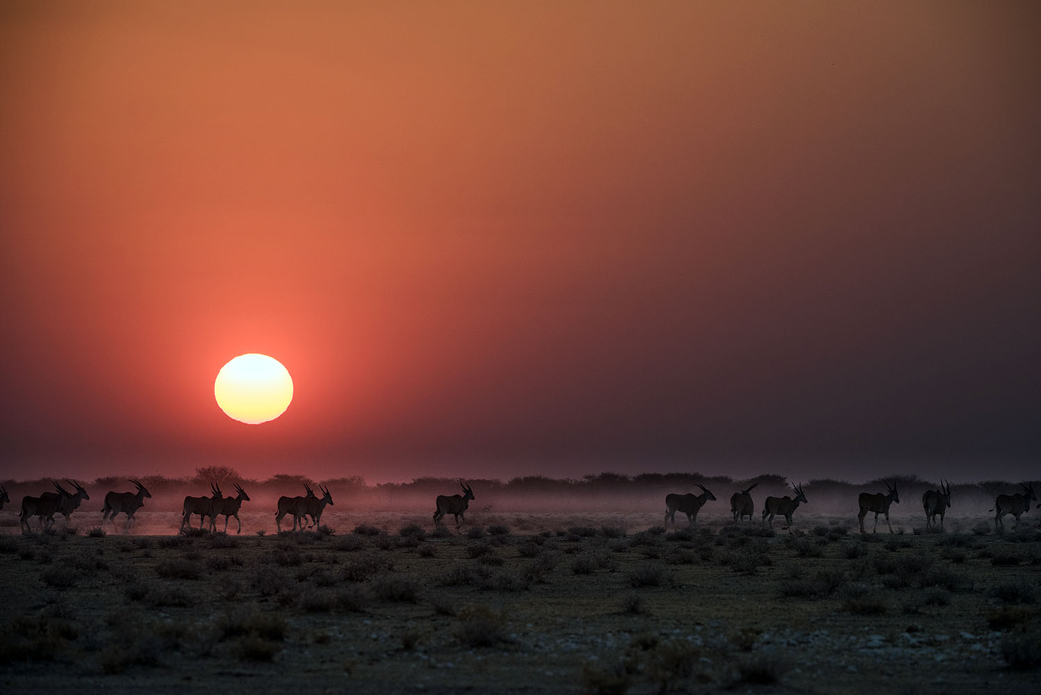 Safarihoek Lodge - Bild 5