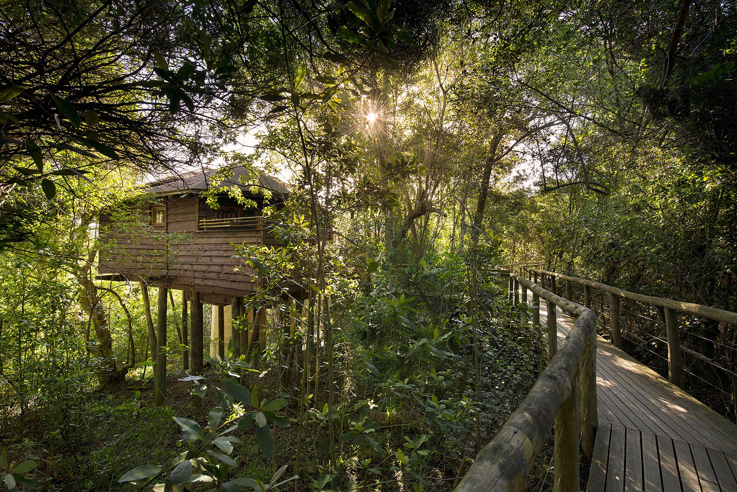 Tsala Tree Top Lodge - Bild 4