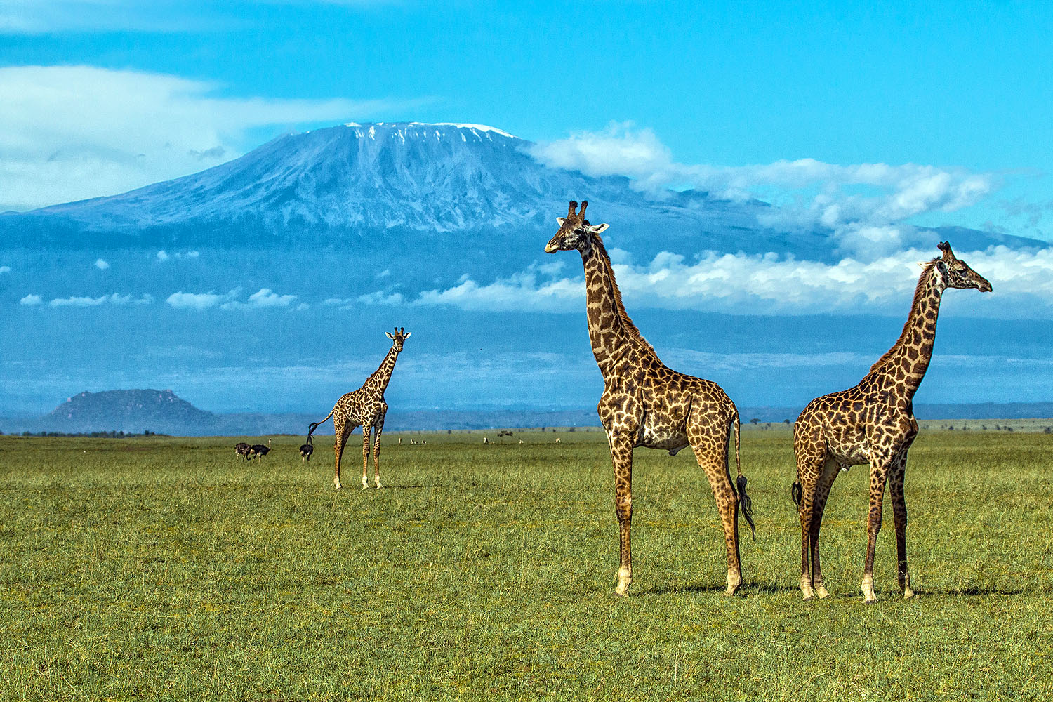 Ol Donyo Lodge - Bild 8