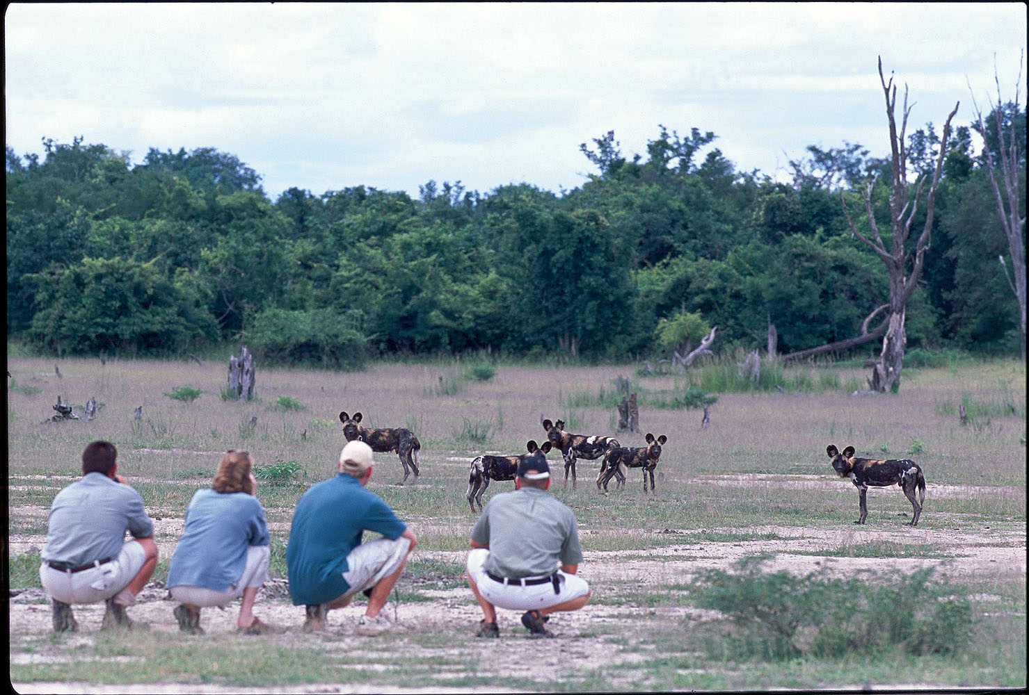 Chamilandu Bushcamp - Bild 5