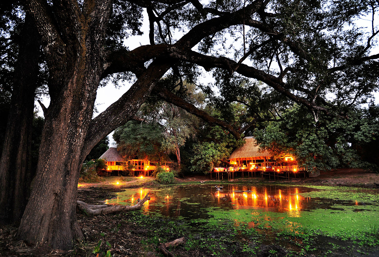 Bilimungwe Bush Camp