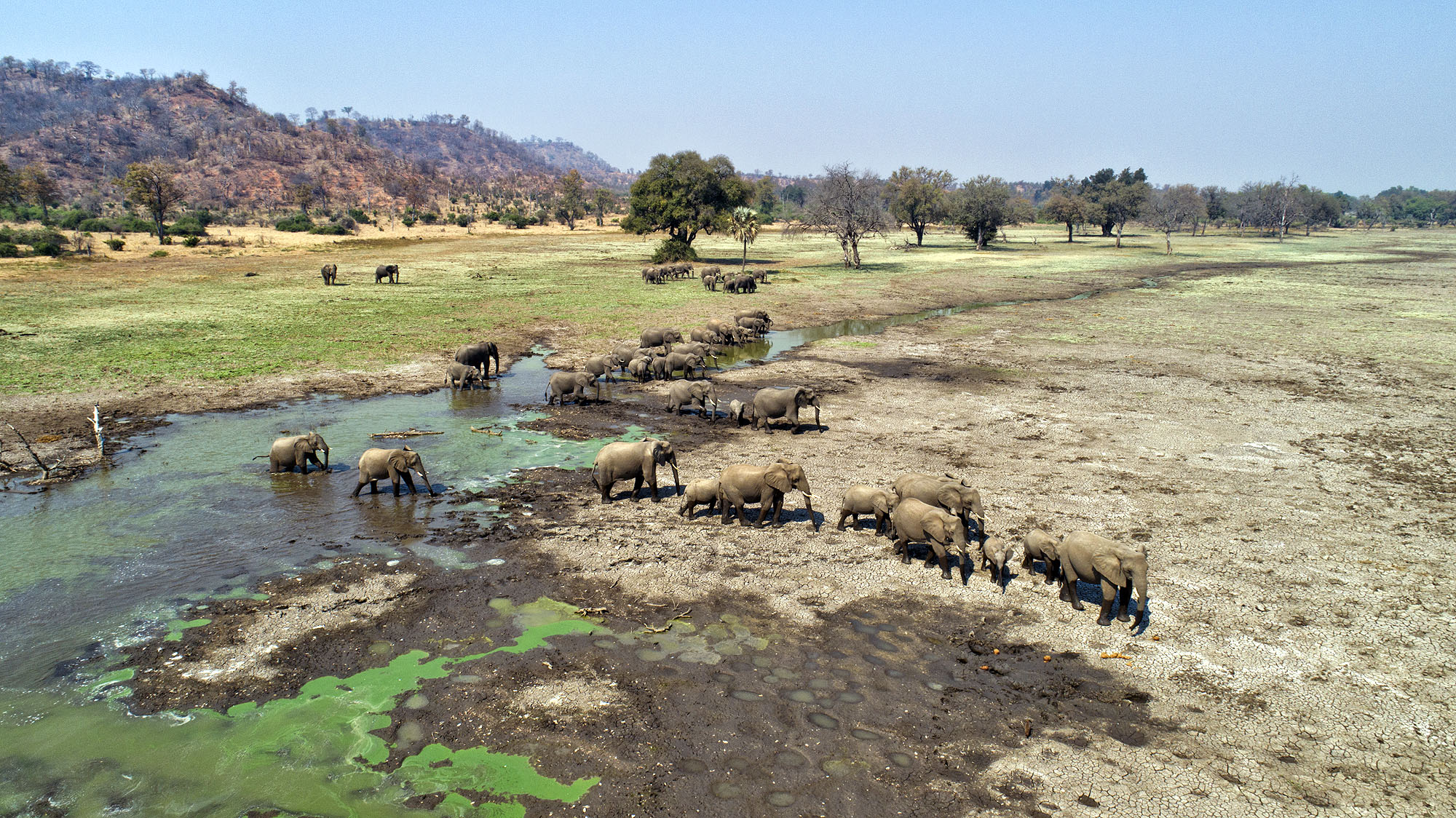 Chilo Gorge Lodge - Bild 5