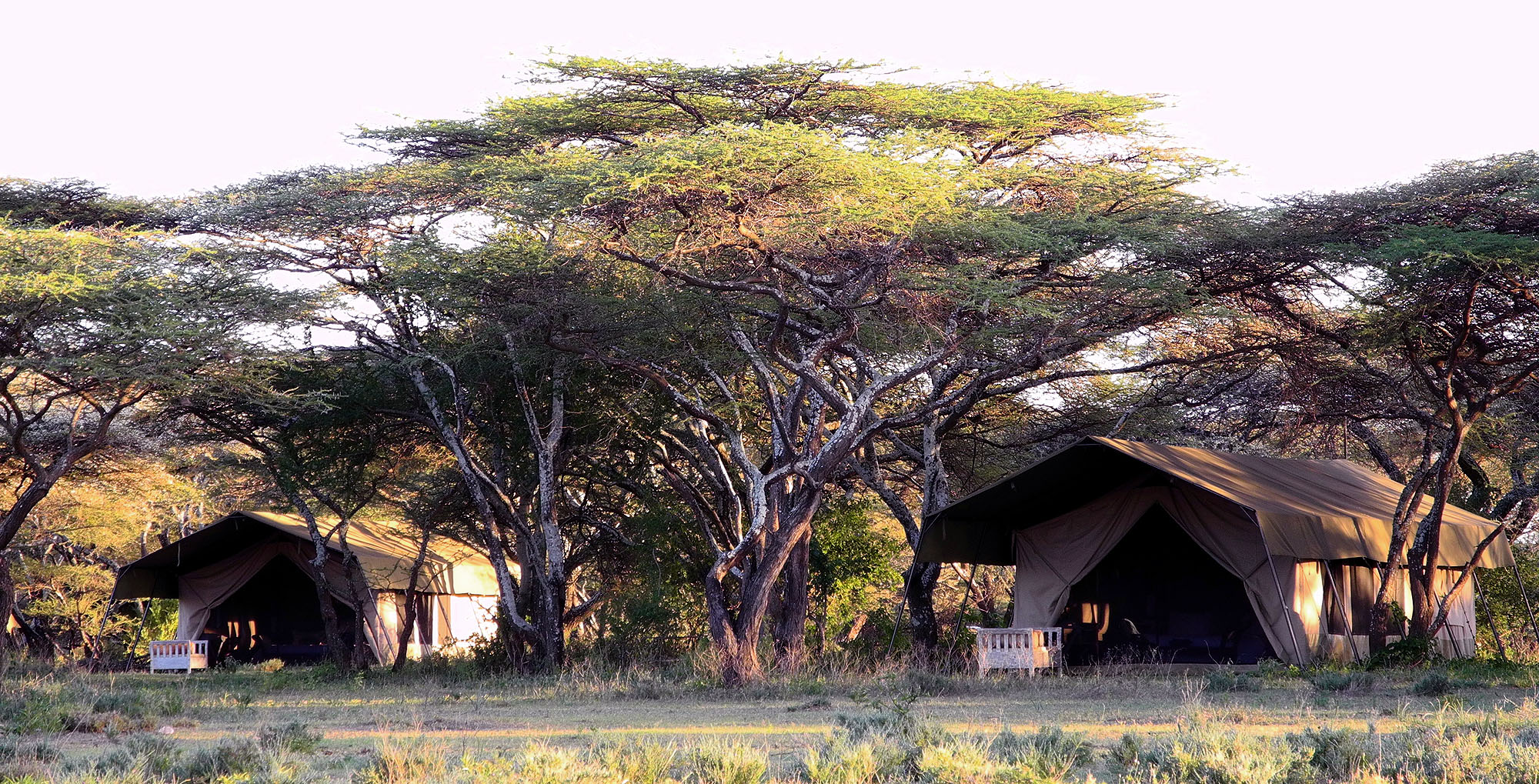 Alex Walker's Serian Serengeti South