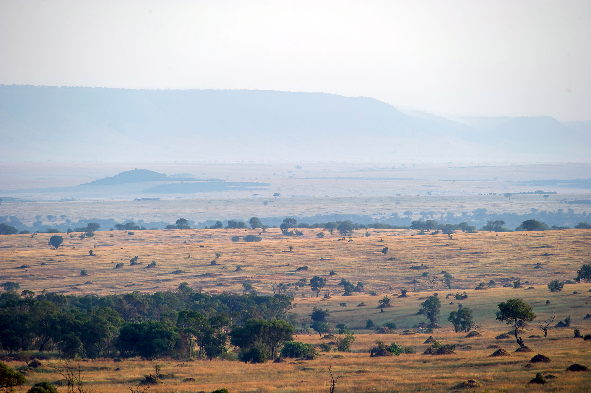 Mara Kati Kati Tented Lodge - Bild 5