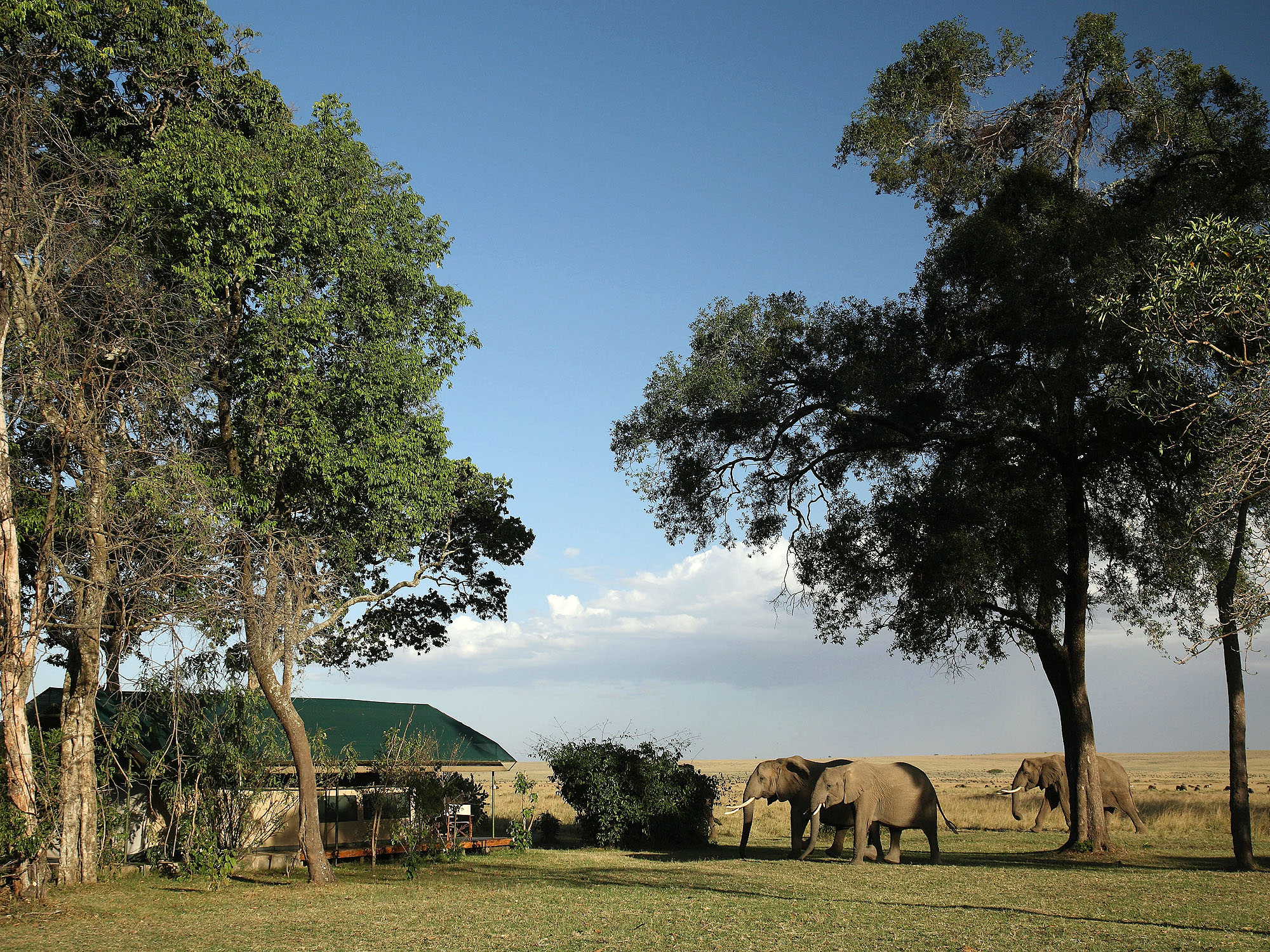 Governors' Main Camp - Bild 4