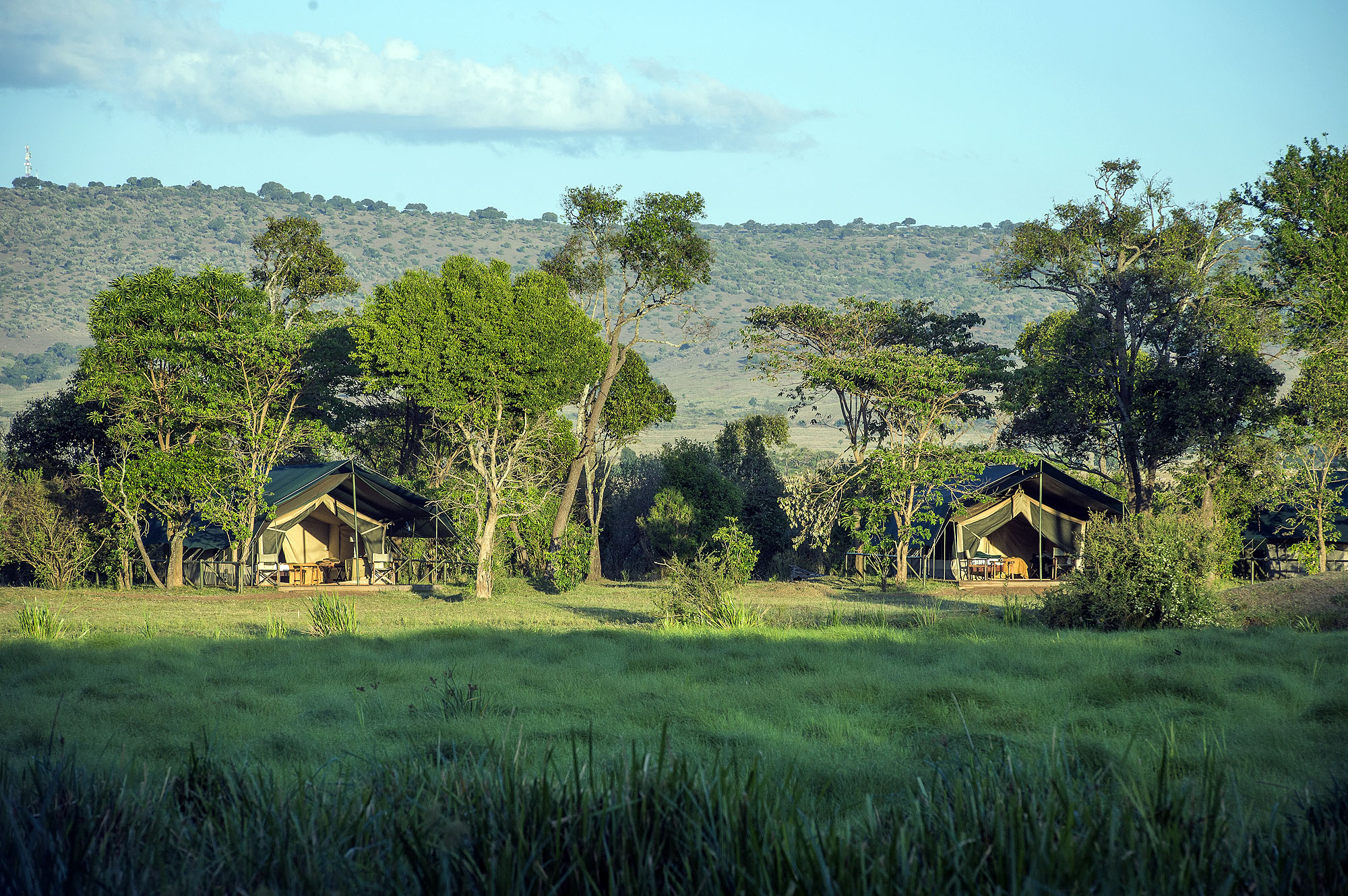 Little Governors' Camp