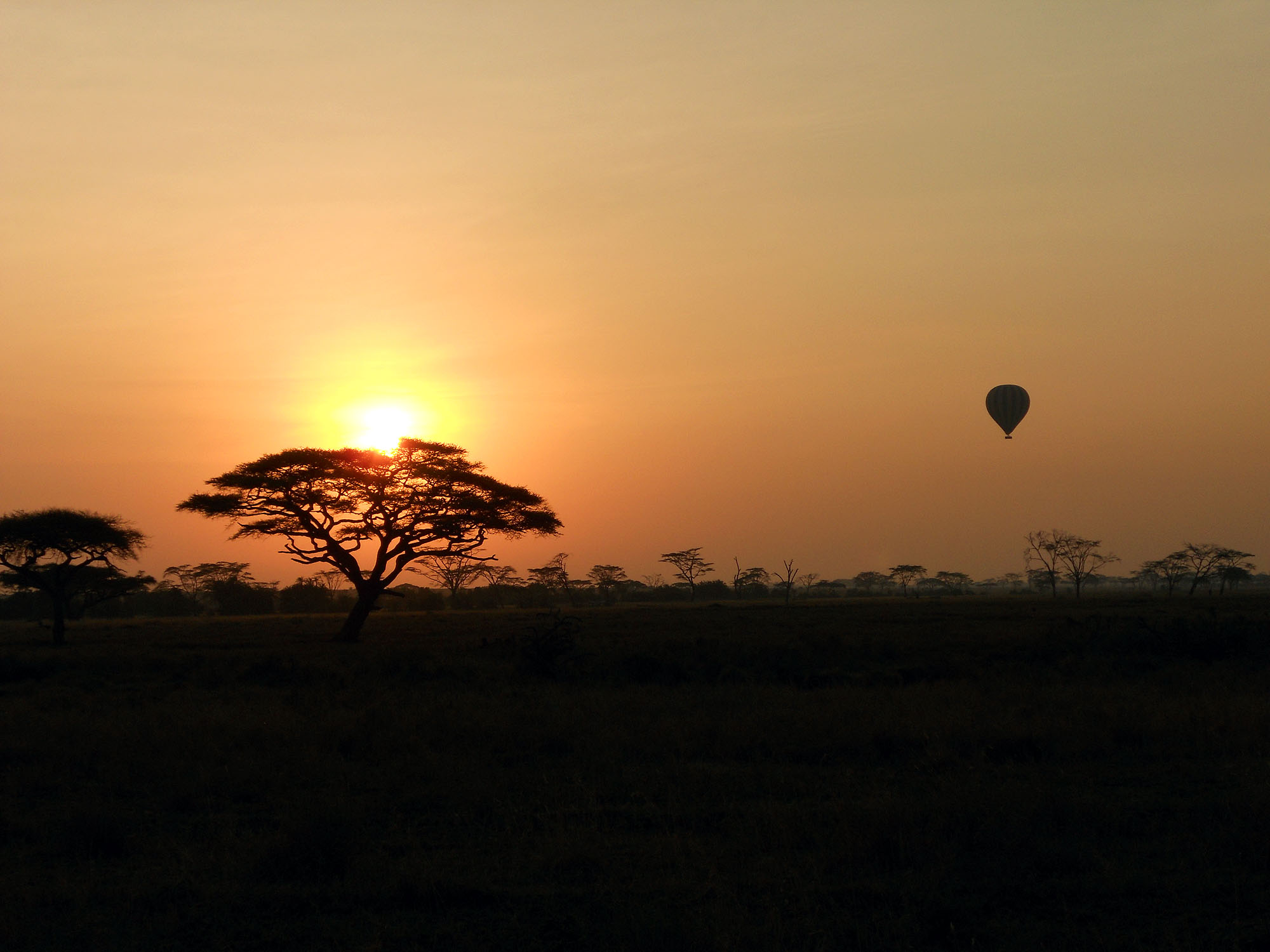 Serengeti Kati Kati Tented Camp - Bild 4