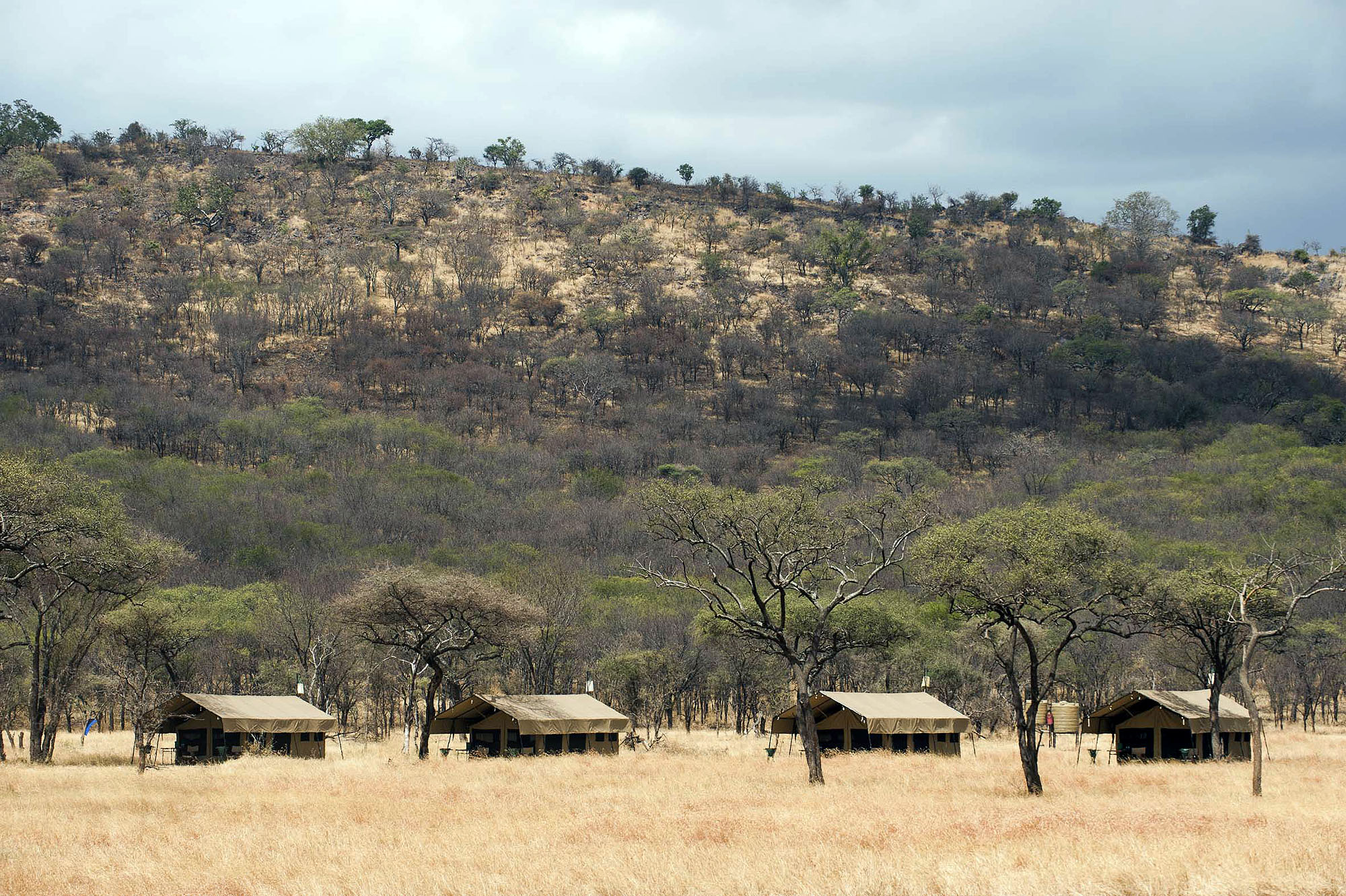Serengeti Kati Kati Tented Camp