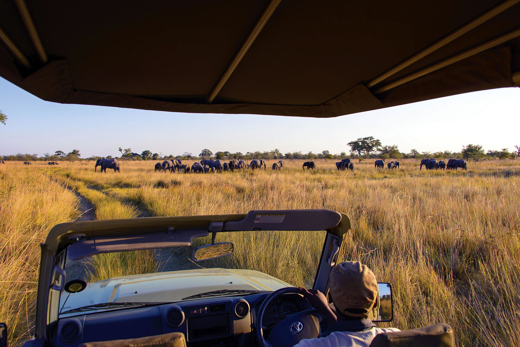 Namushasha River Lodge und Villa - Bild 5