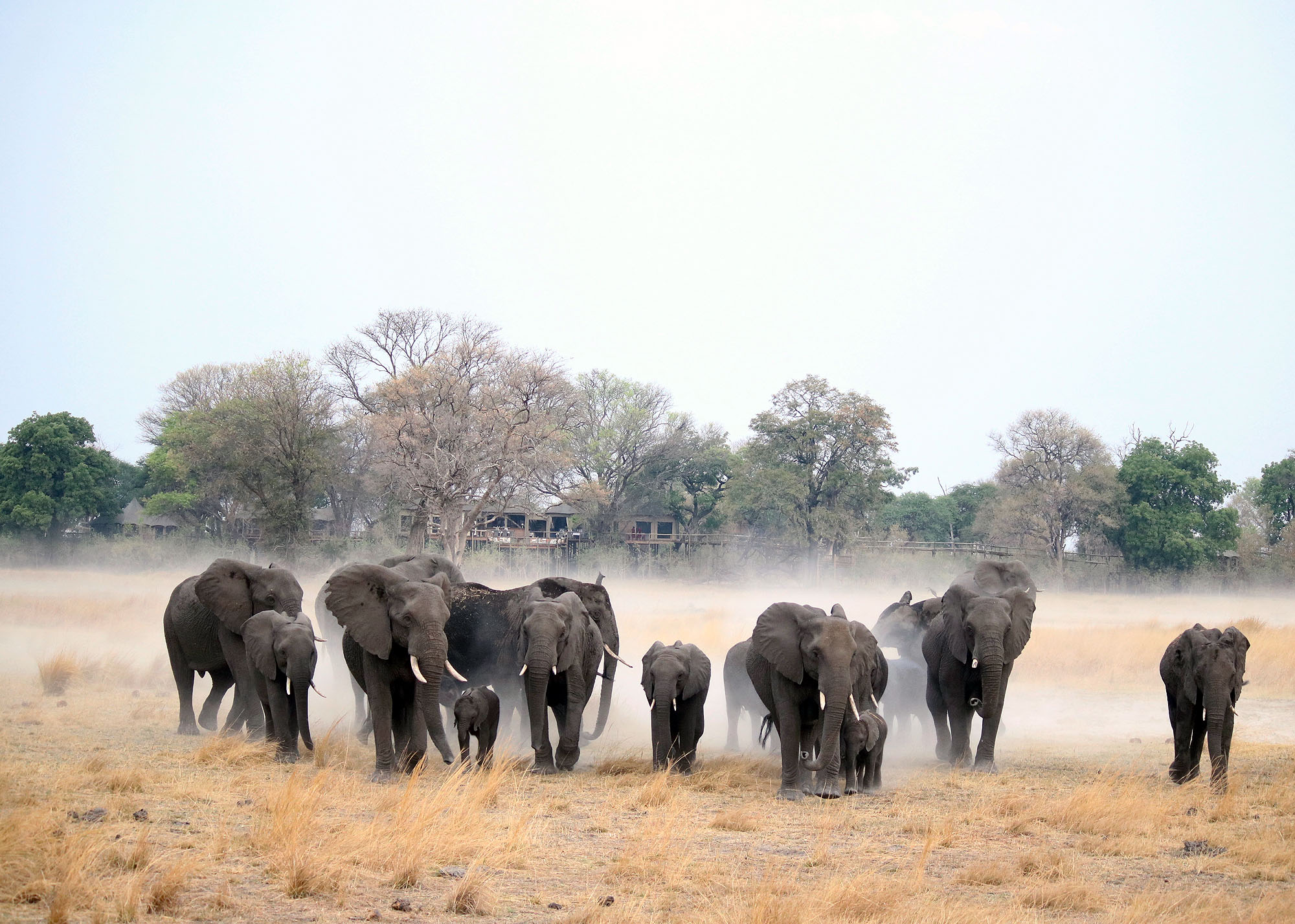 Nambwa Tented Lodge - Bild 5