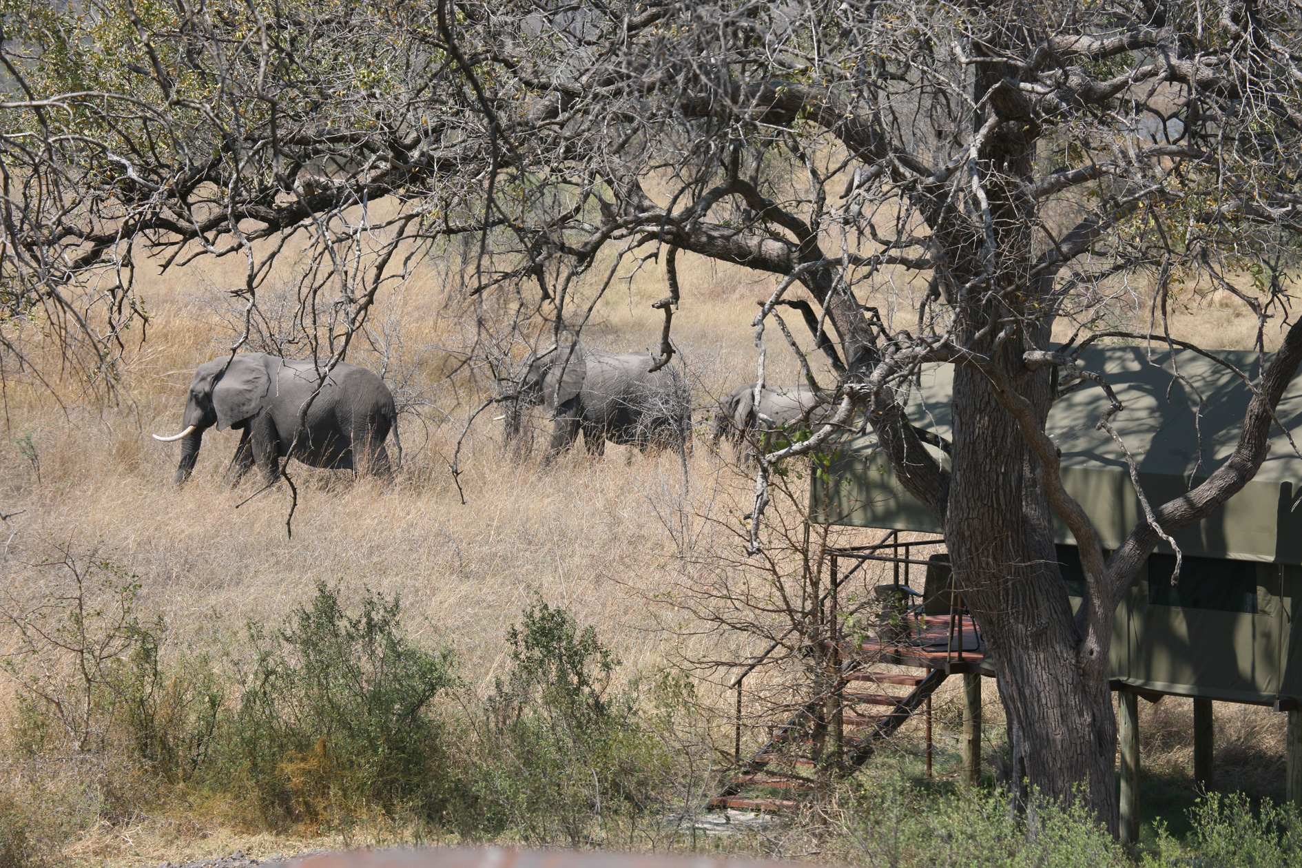 Nkasa Lupala Tented Lodge - Bild 3