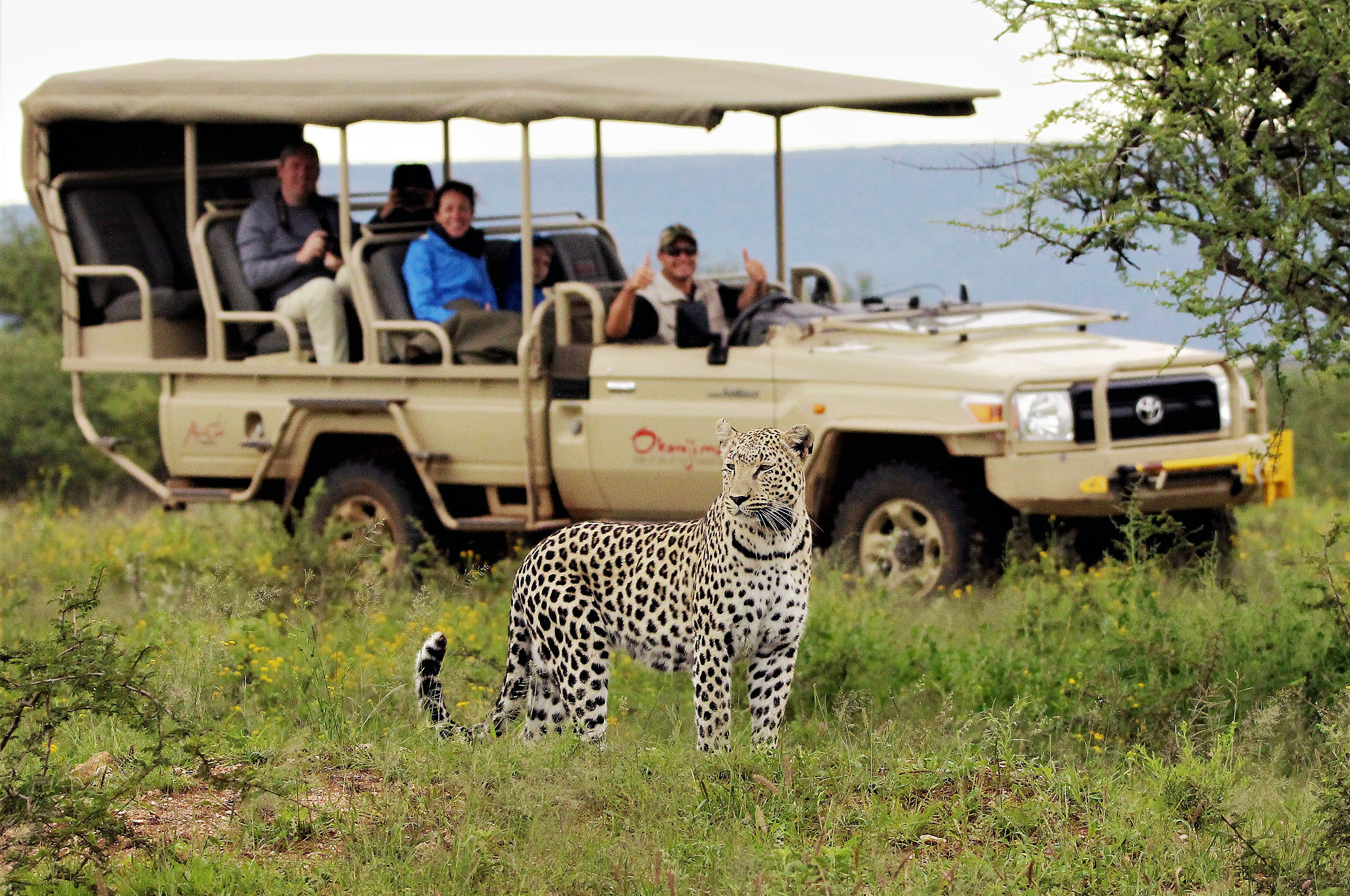 Okonjima - Bild 5