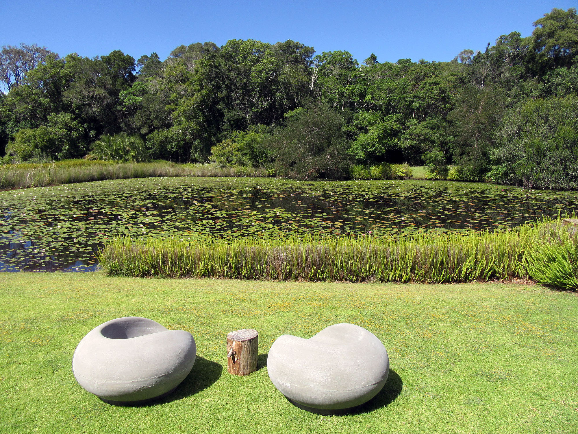Lily Pond Country Lodge - Bild 5
