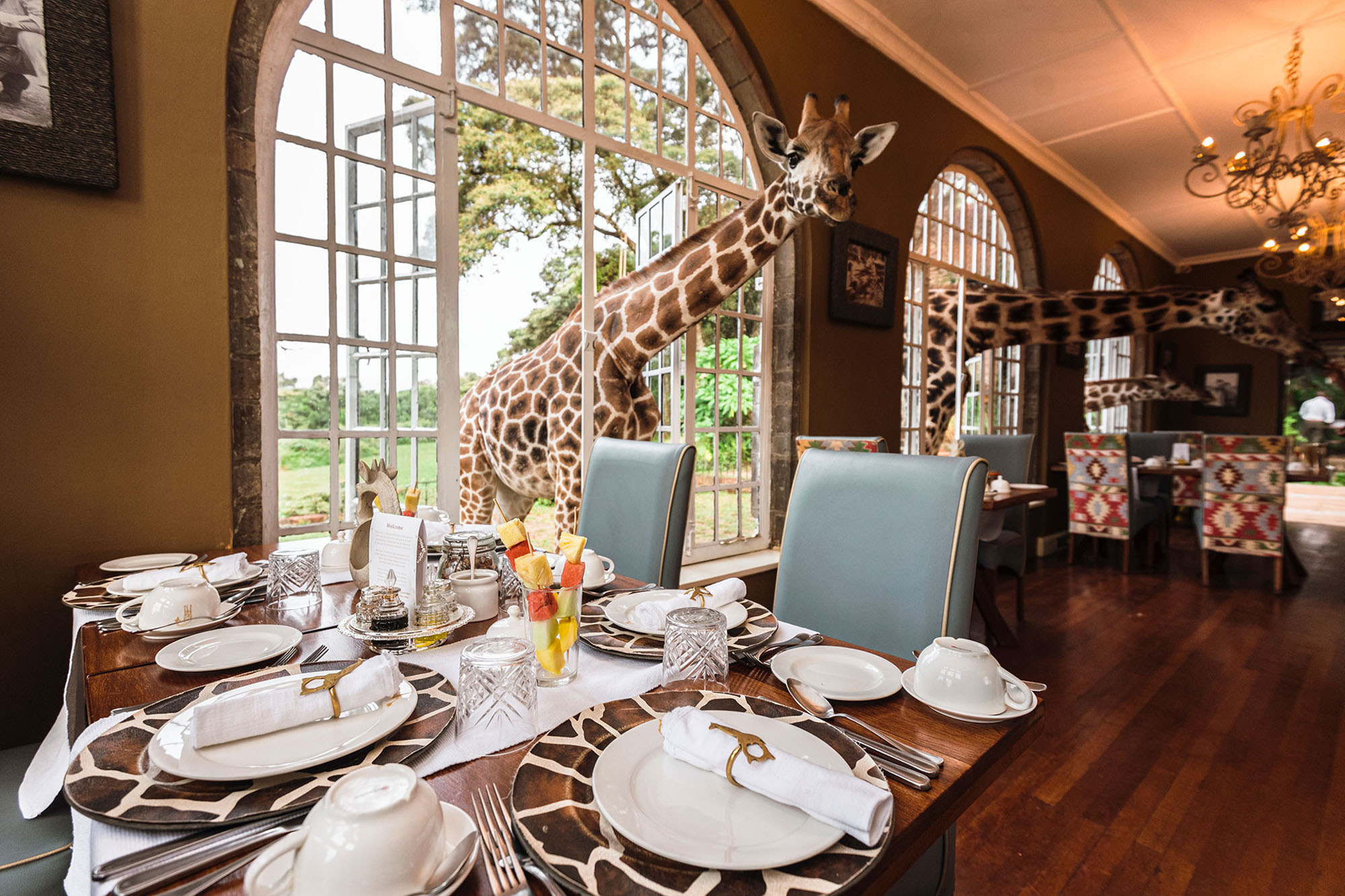 Giraffe Manor - Bild 3