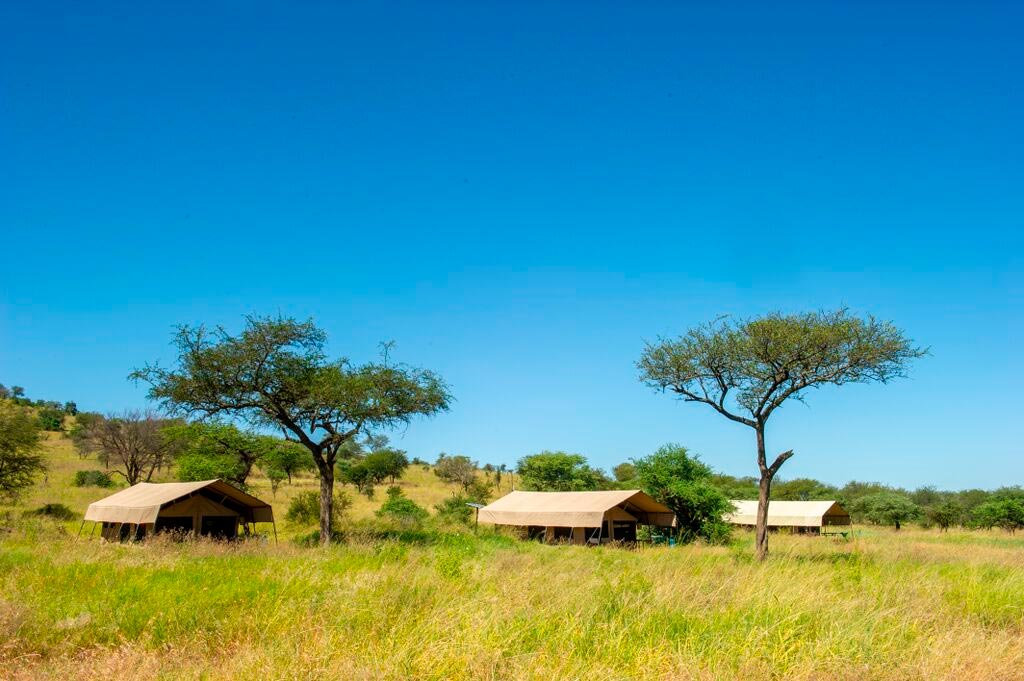 Mara Kati Kati Tented Lodge - Bild 3