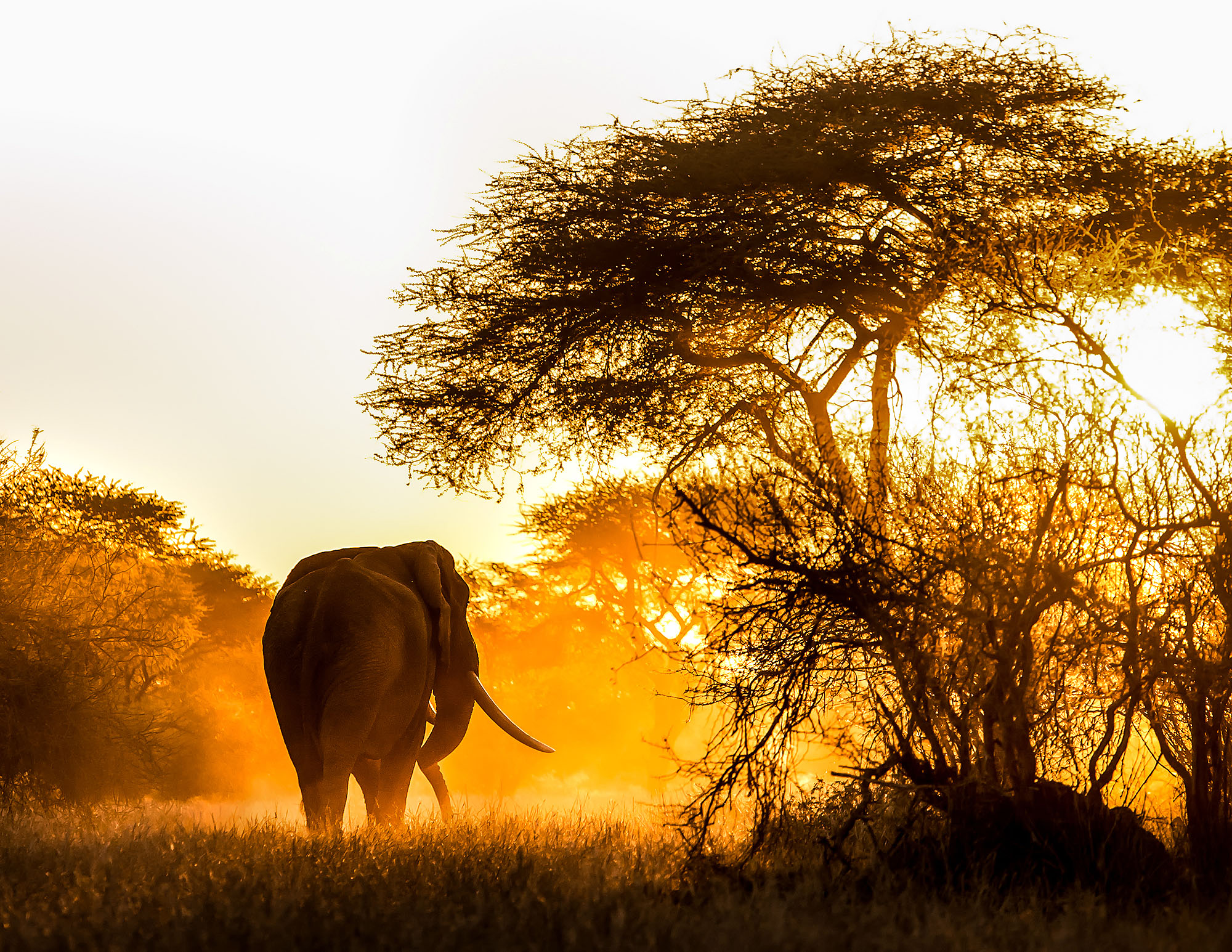 Singita Pamushana