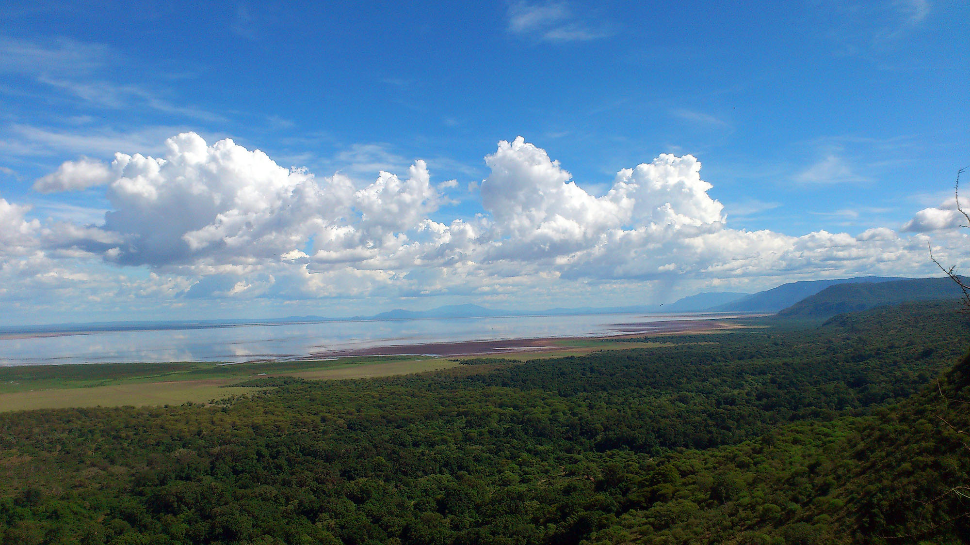 Kirurumu Manyara Lodge - Bild 5