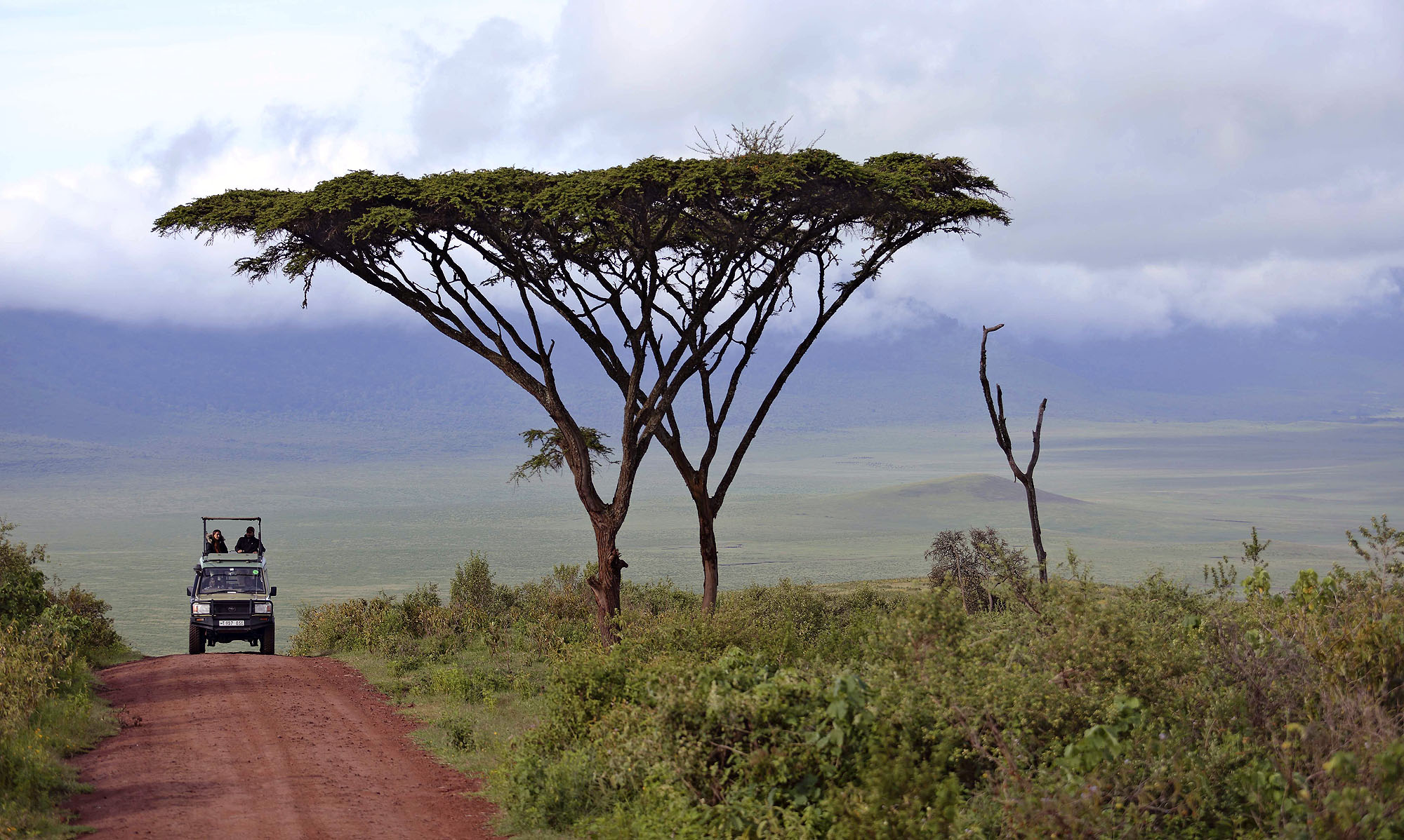 The Highlands Ngorongoro - Bild 3