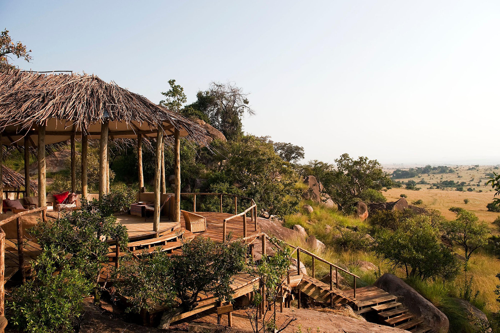 Lamai Serengeti - Bild 4