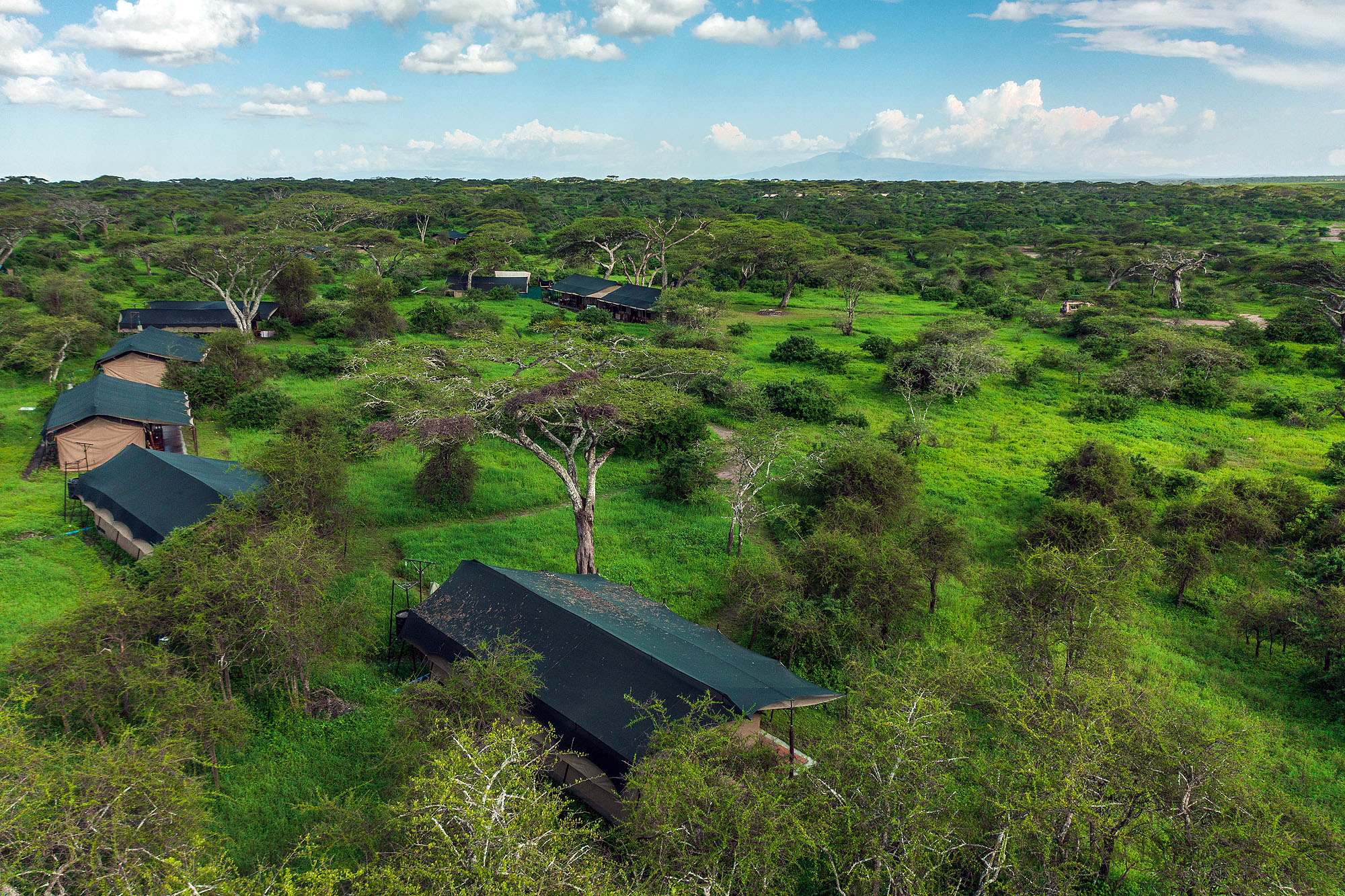 Lemala Ndutu Tented Camp