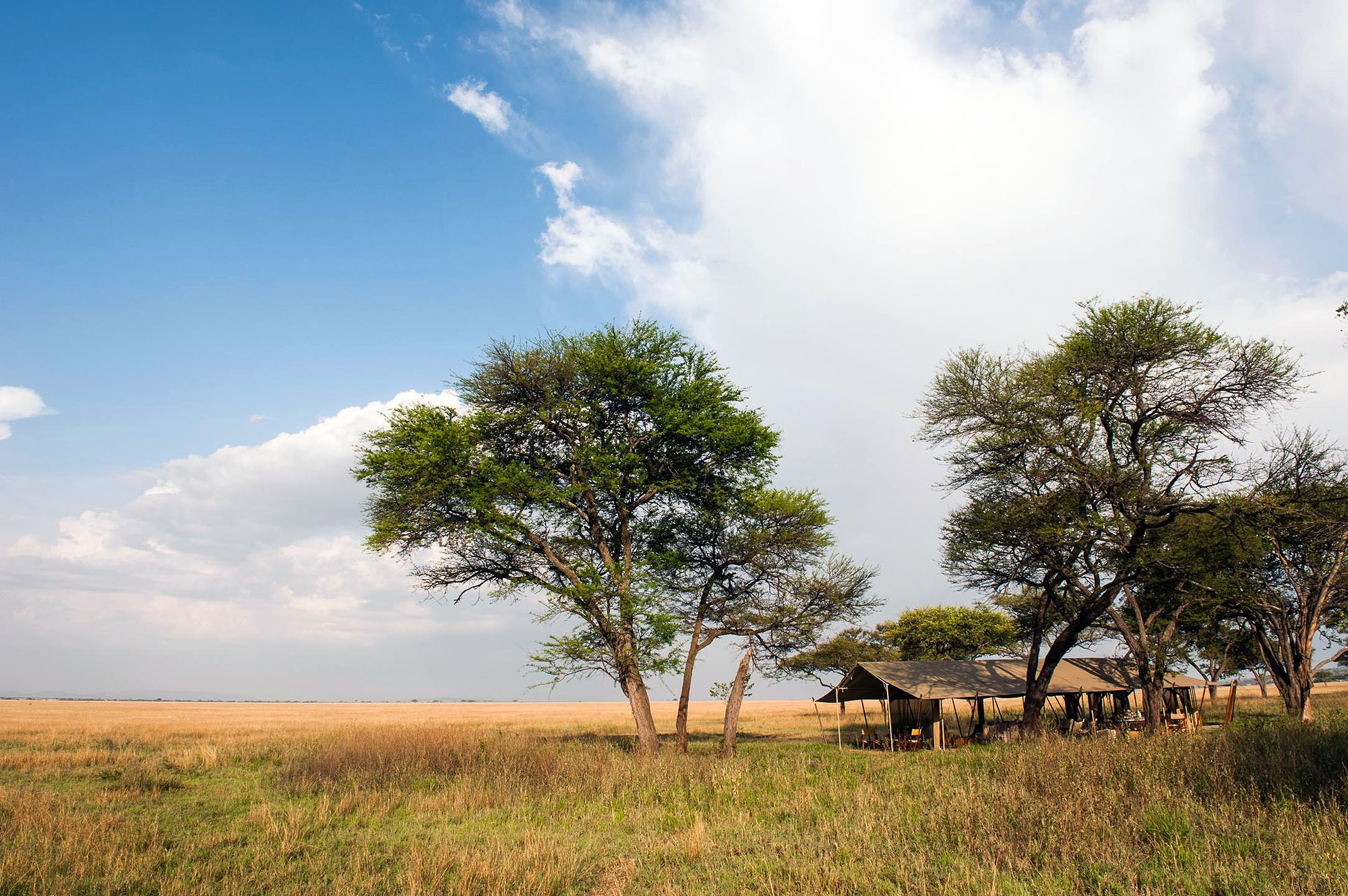 Serengeti Safari Camp - Bild 3