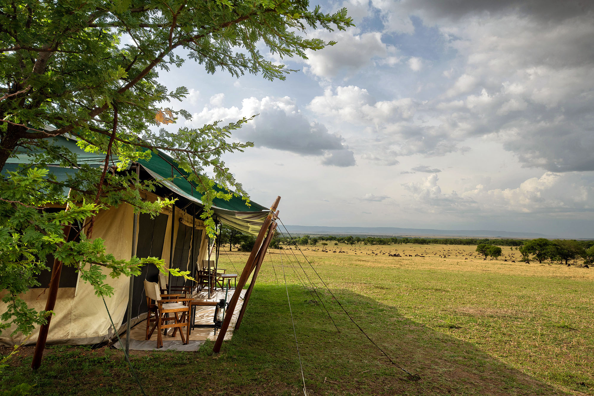 Lemala Mara Camp