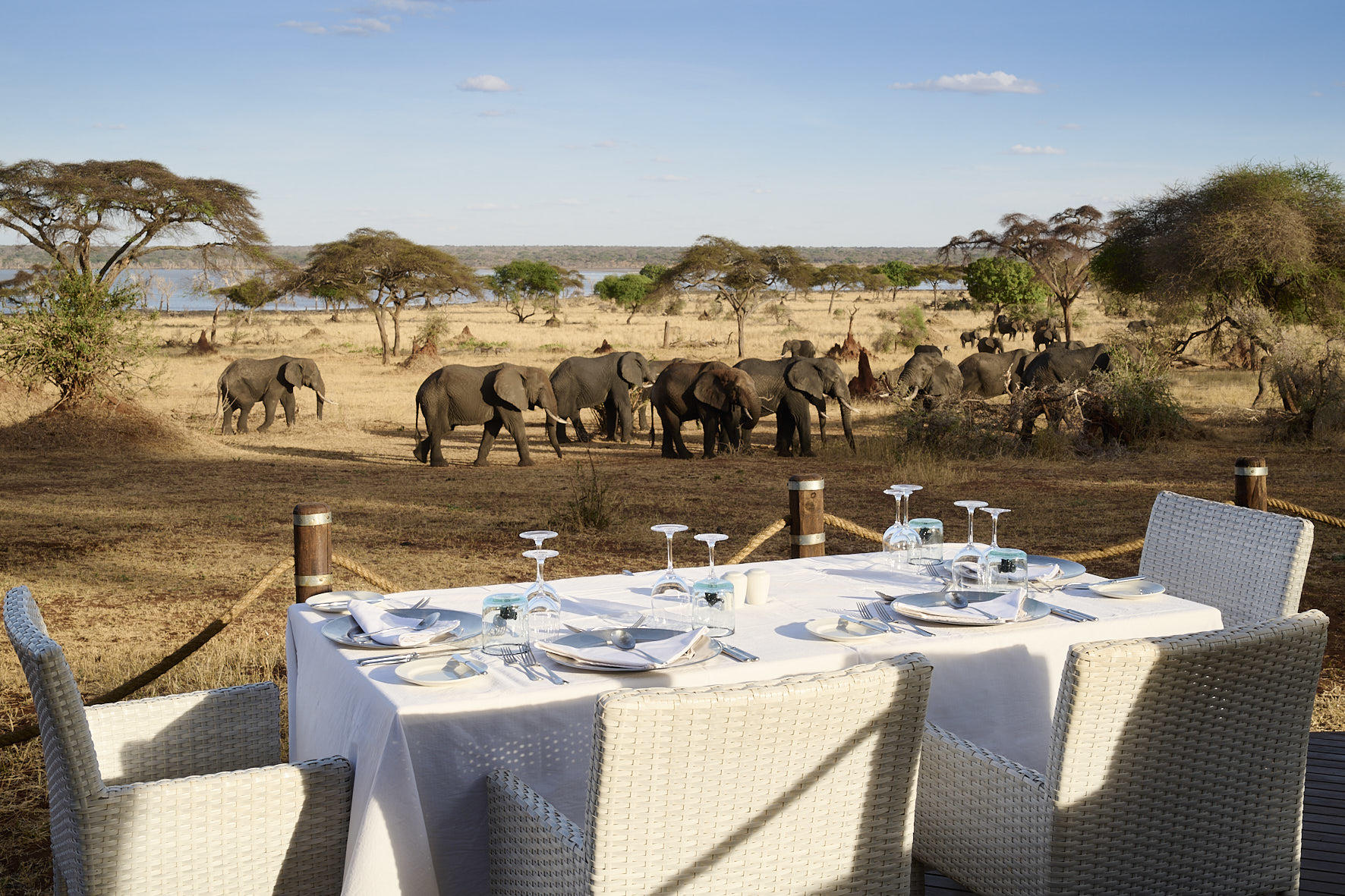 Sanctuary Swala Camp - Bild 5