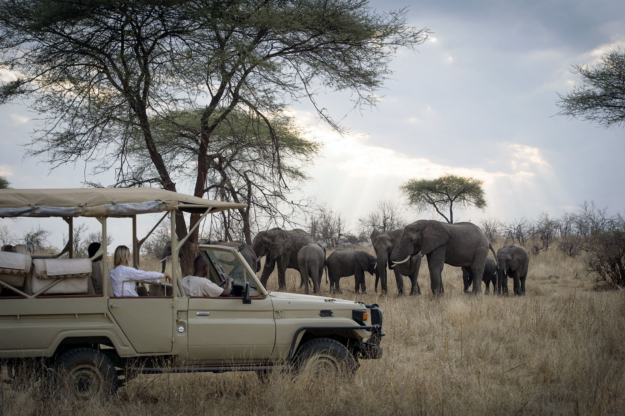 Kigelia Ruaha Camp - Bild 2