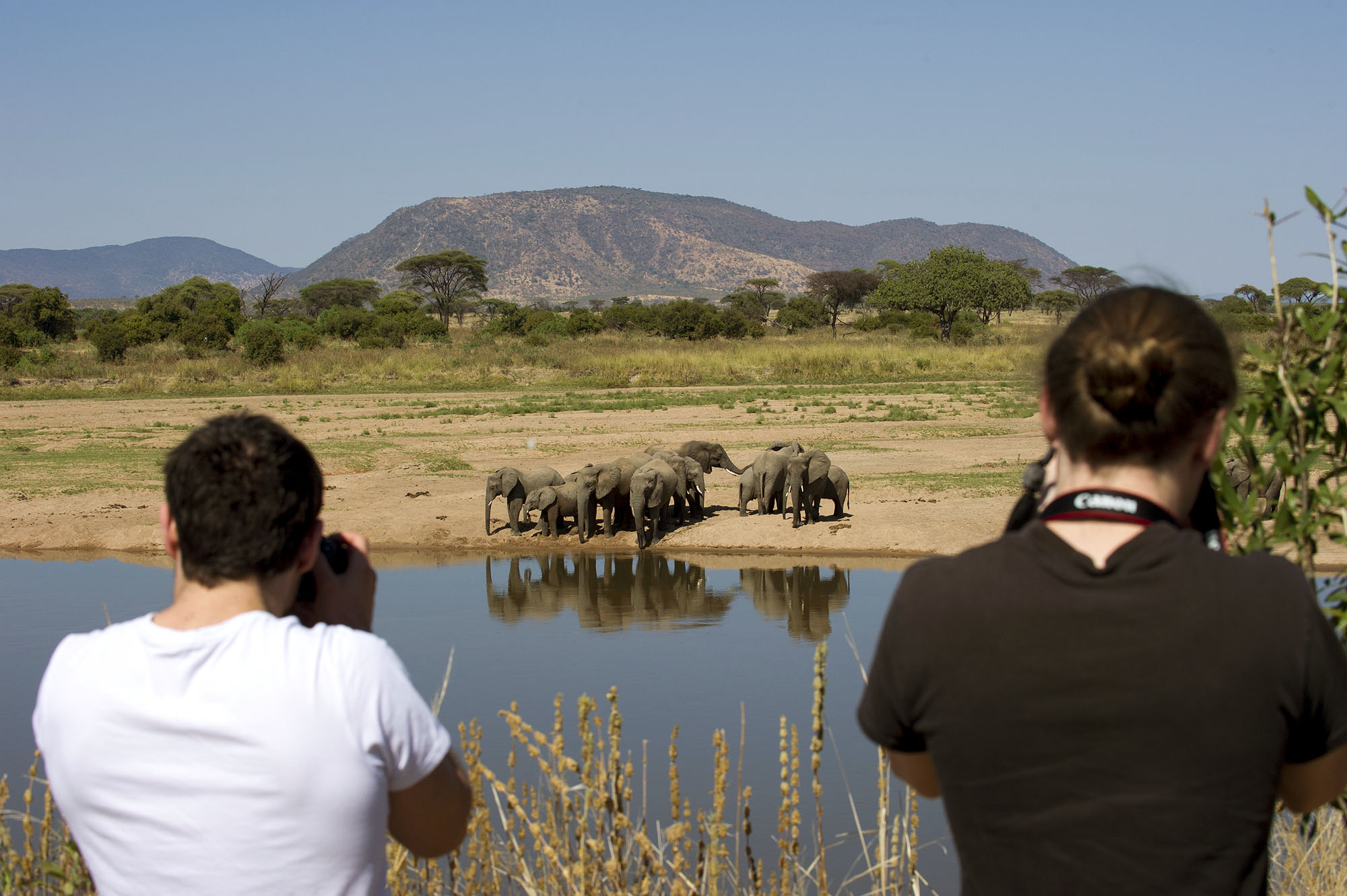 Kigelia Ruaha Camp - Bild 4