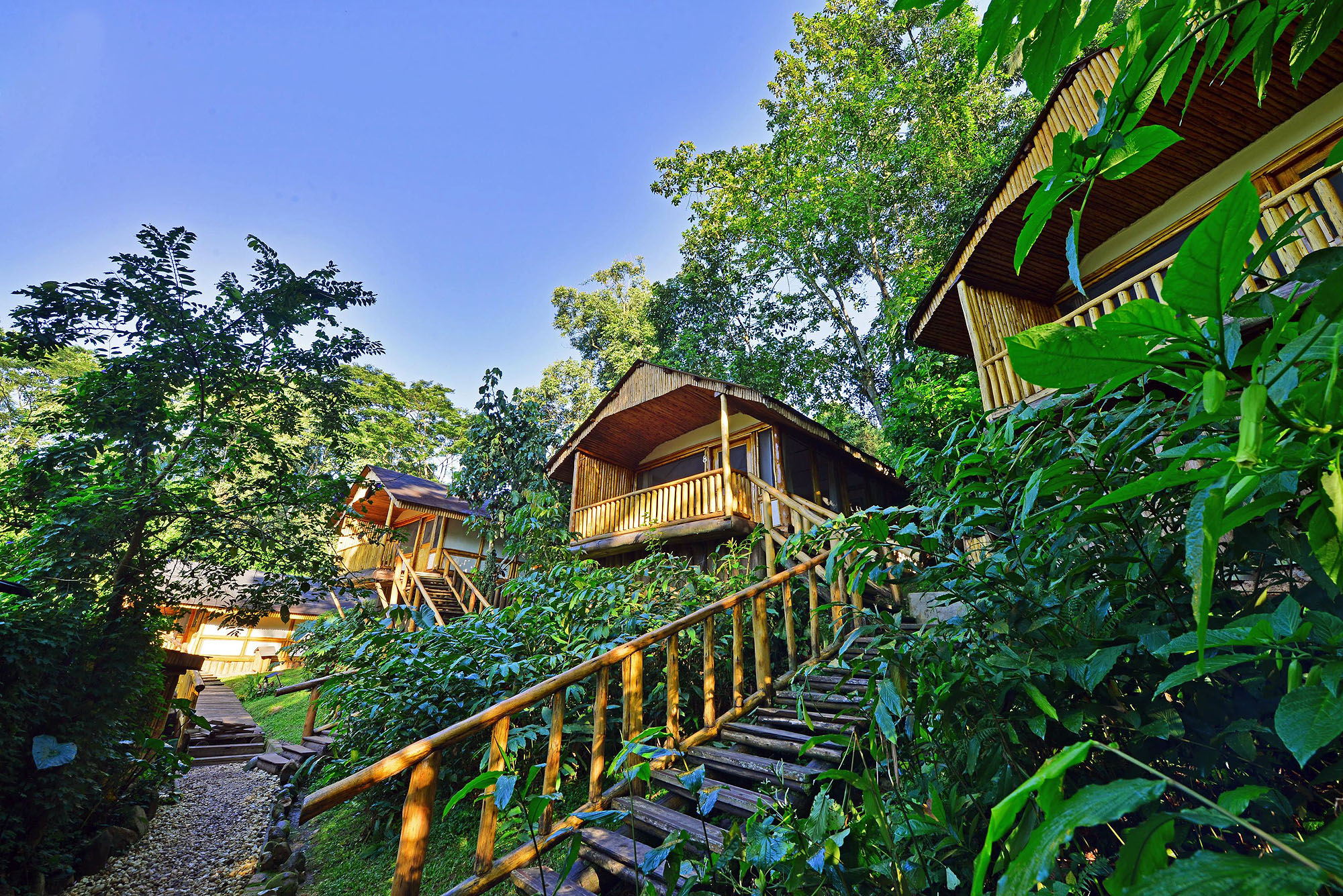 Buhoma Lodge