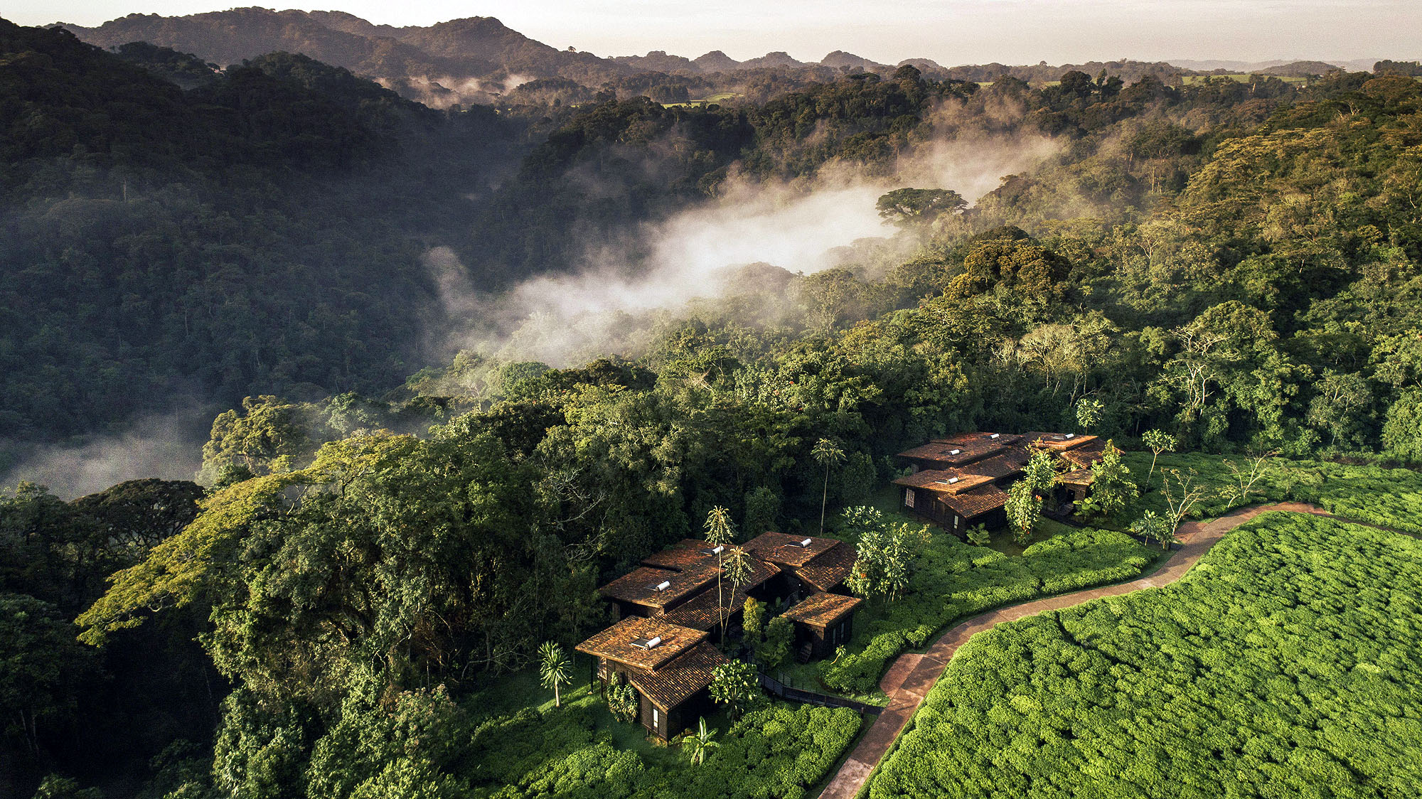 One & Only Nyungwe House
