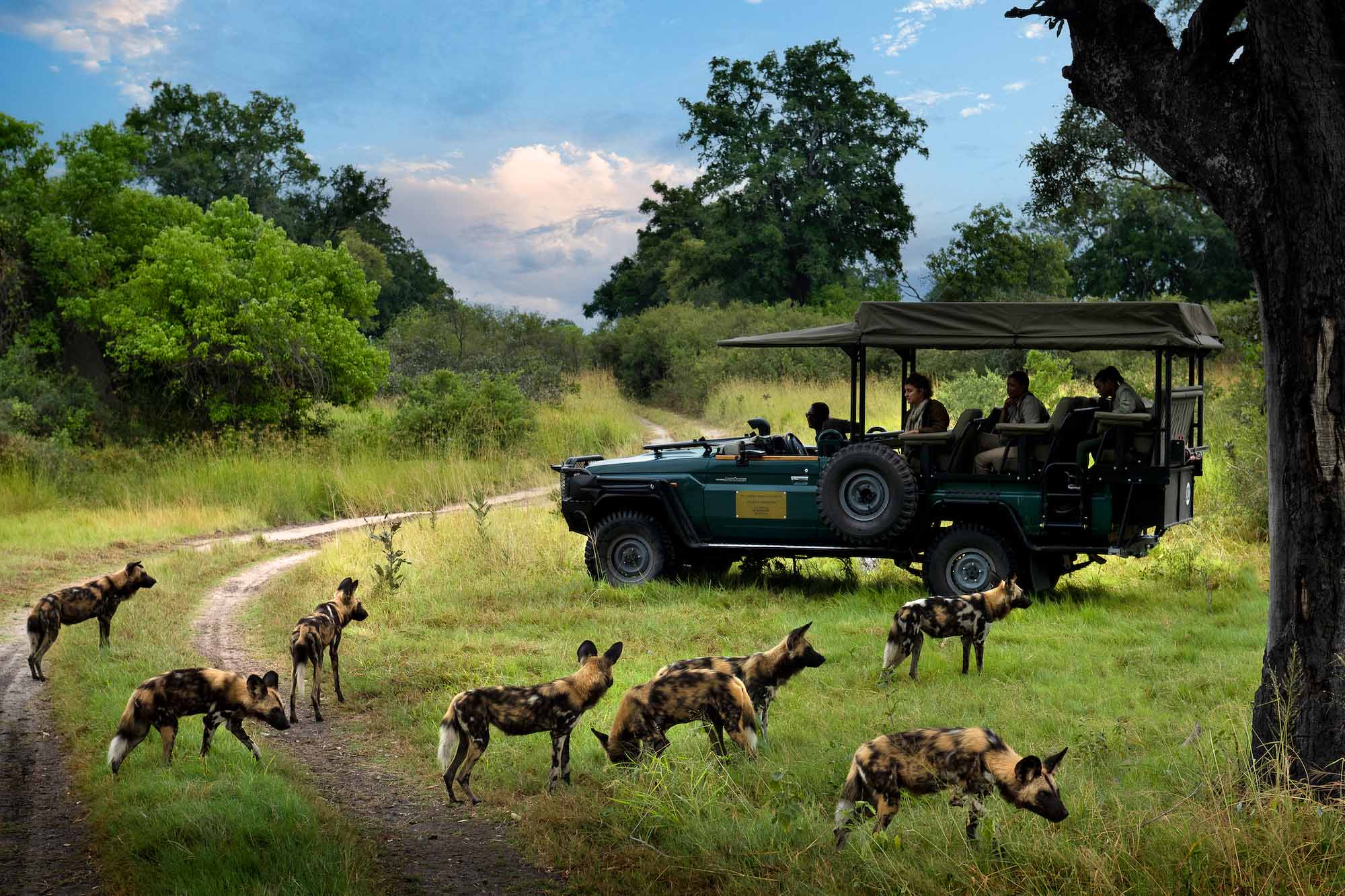 Duke's Camp - Bild 5