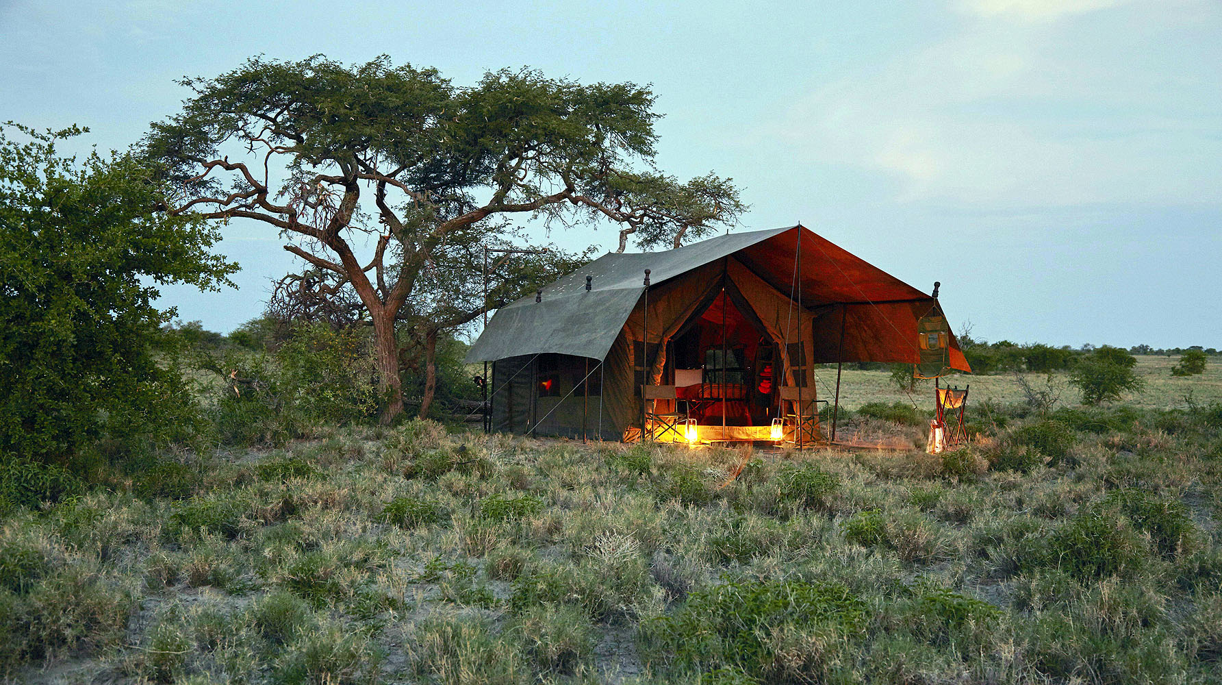 Komfortables Safari-Zelt inmitten der Wildnis des Okavango-Deltas in Botswana. Die naturnahe Unterkunft liegt umgeben von Savanne und Akazienbäumen und bietet ein authentisches Safari-Erlebnis in einer der schönsten Landschaften Afrikas.