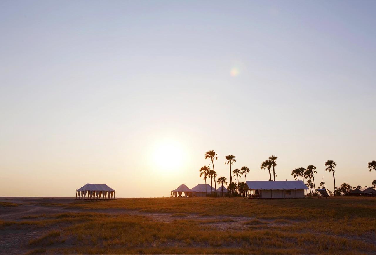 Exklusives Safari-Camp in den Makgadikgadi-Salzpfannen Botswanas bei Sonnenaufgang mit Zelten, Palmen und weiter, offener Landschaft.