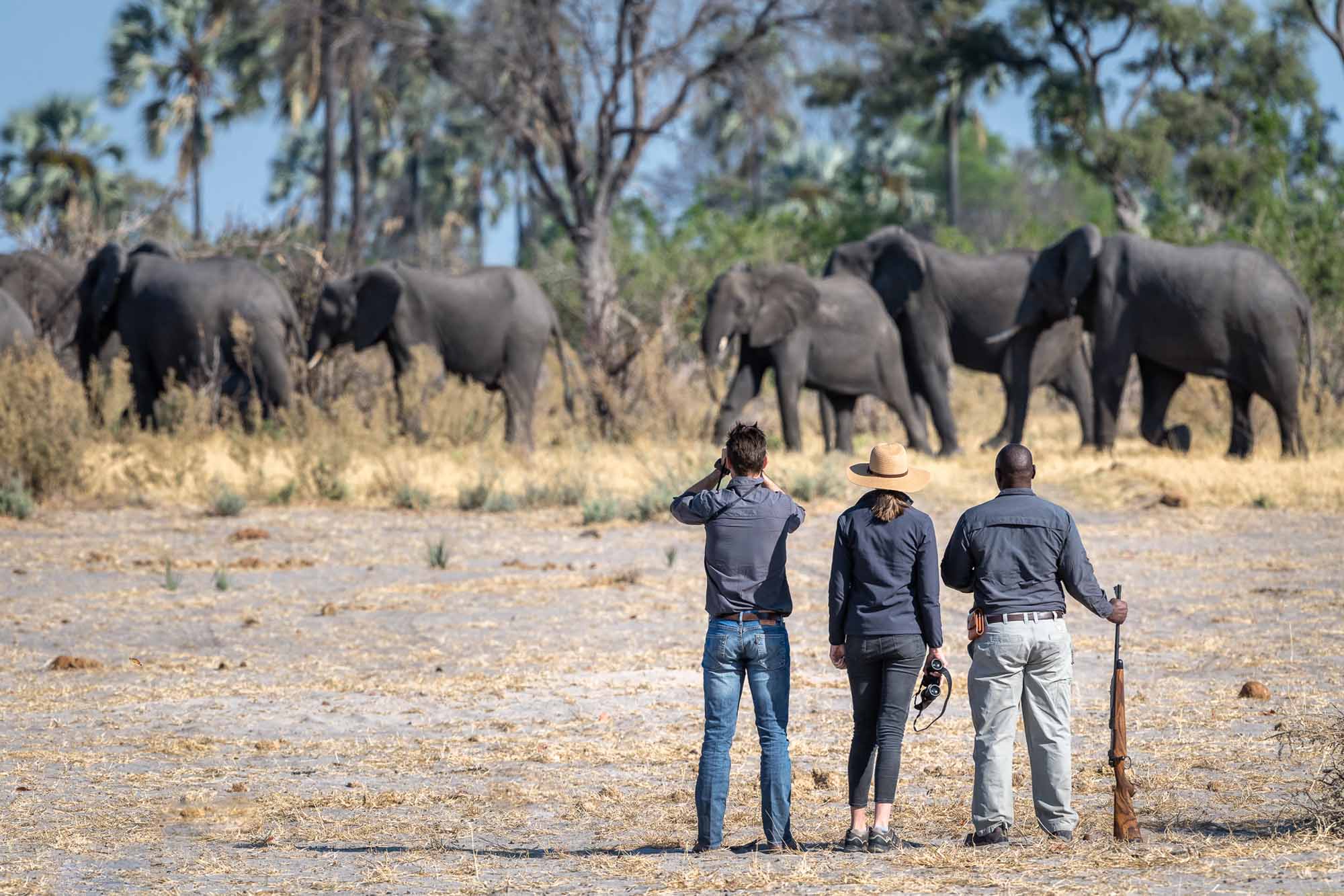 Teilnehmer einer geführten Walking Safari beobachten gemeinsam mit einem erfahrenen Guide eine Elefantenherde in der Wildnis Botswanas aus sicherer Entfernung.