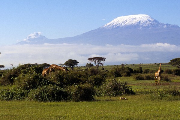 Best of Kenya