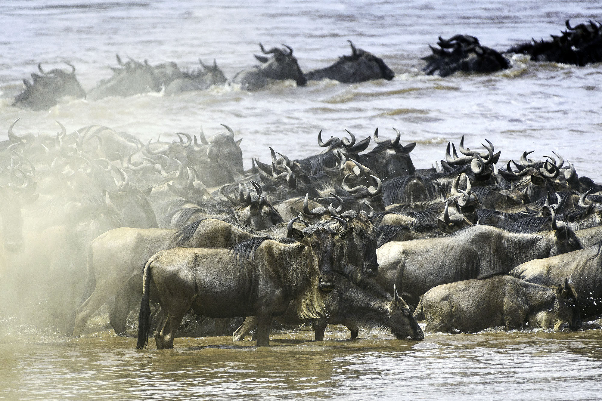 Masai Mara Nationalpark
