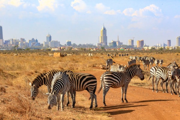 Abenteuer Laikipia