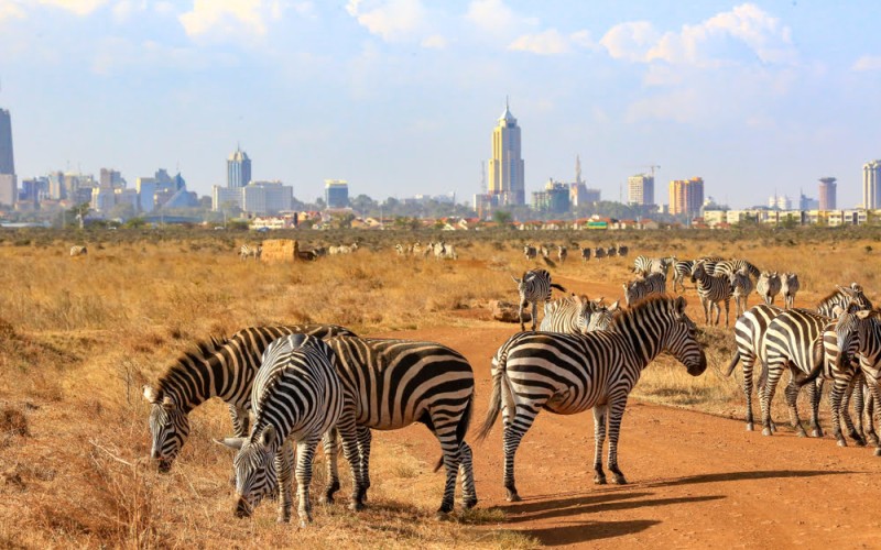Abenteuer Laikipia