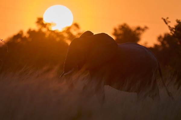 The Big Five