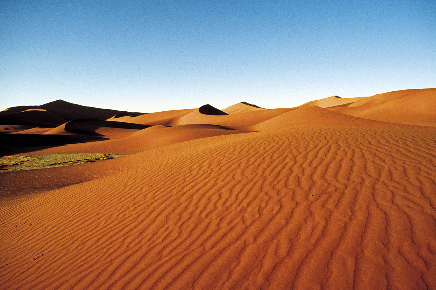 Weite rote Sanddünen der Namib-Wüste bei Sossusvlei unter klarem blauem Himmel in Namibia.