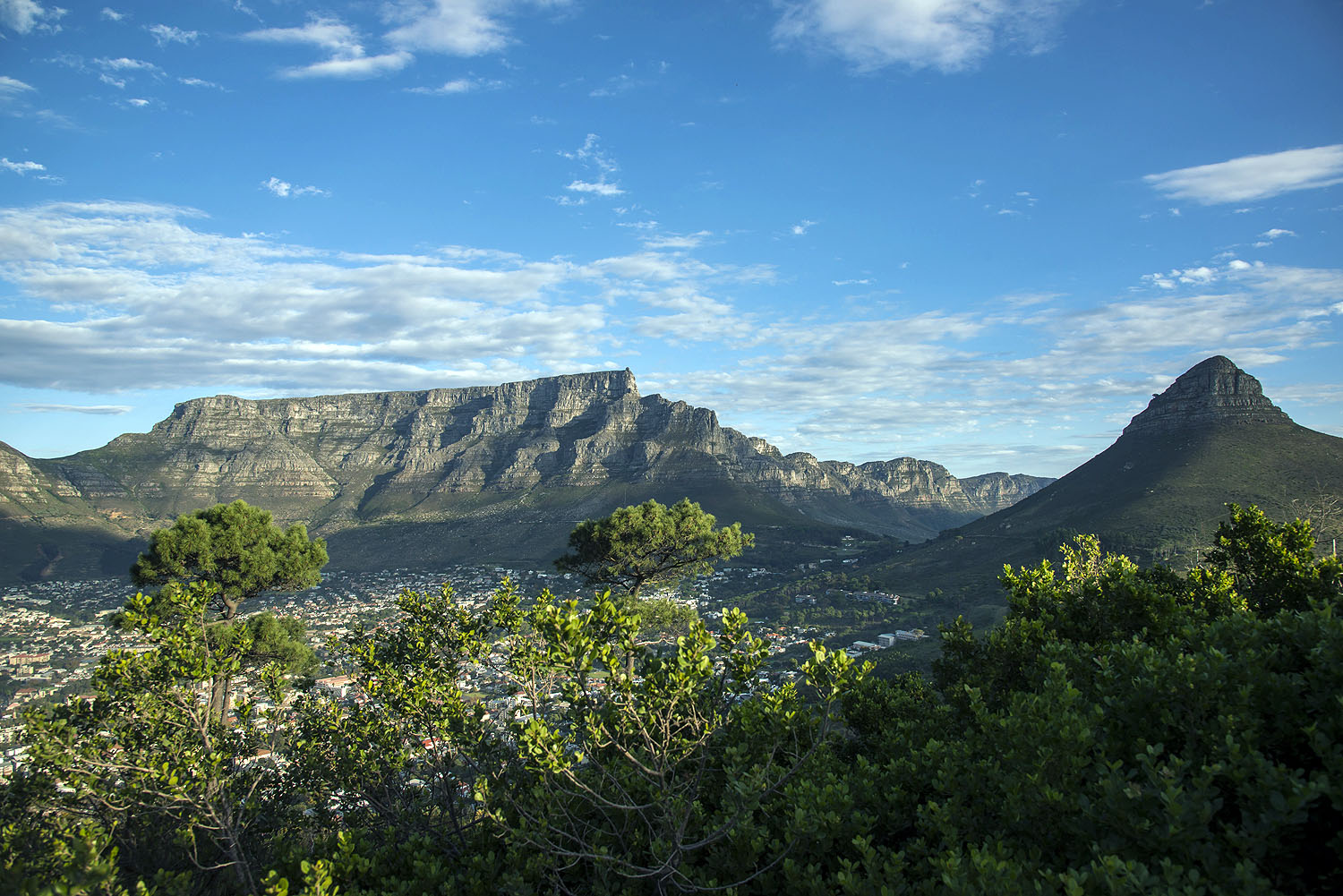 Panoramablick auf den Tafelberg und den Lion’s Head über Kapstadt mit grüner Vegetation im Vordergrund und blauem Himmel.